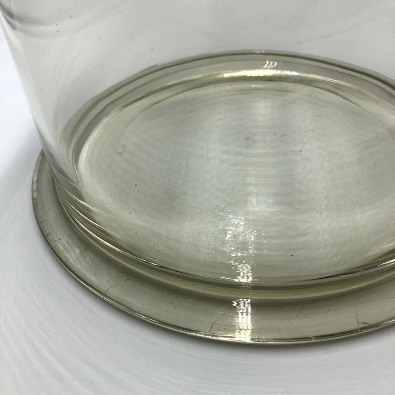 Large Apothecary Laboratory Cotton Wool Jar, Container ...