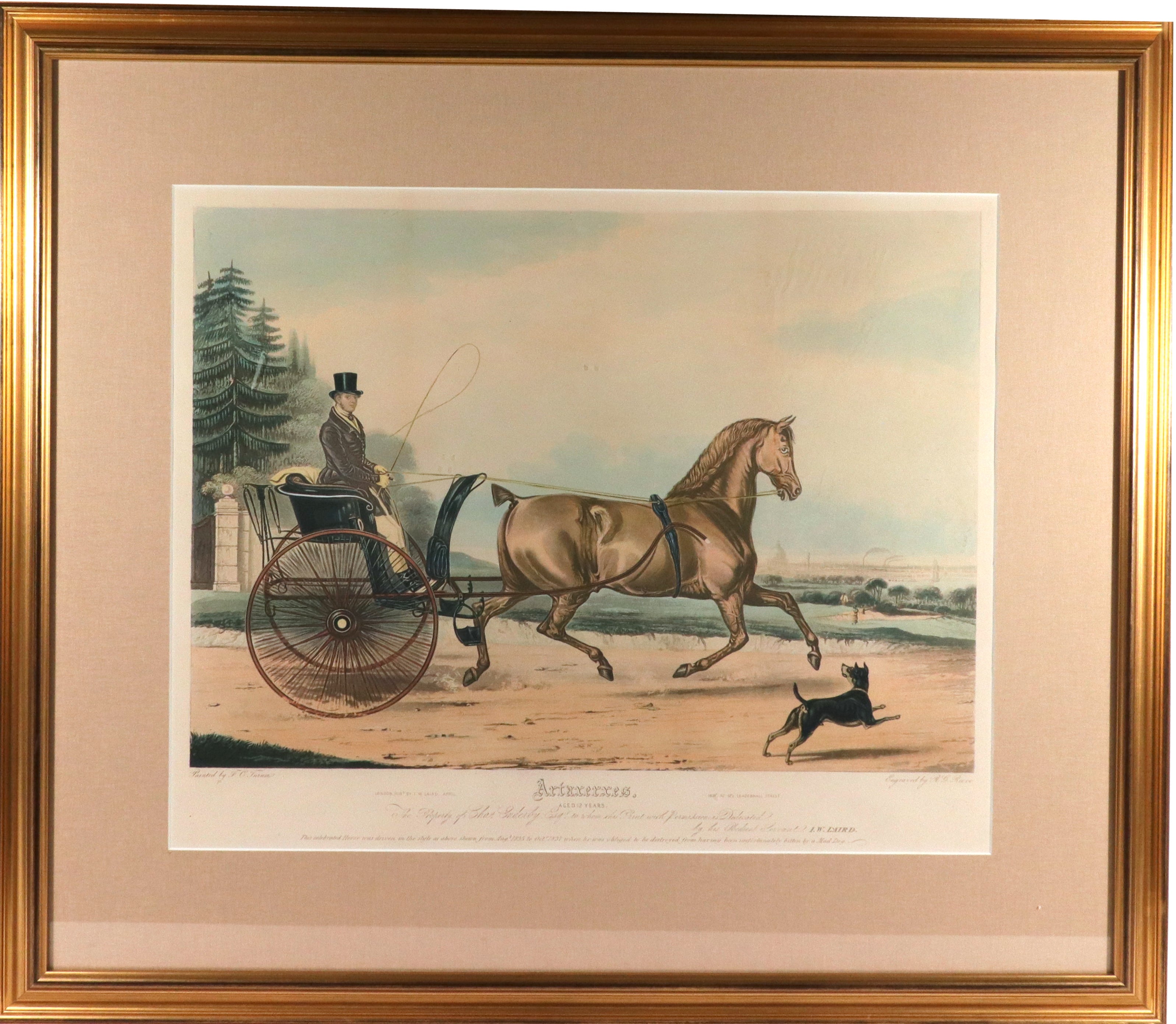 Large Aquatint of The Celebrated Trotting Stallion Artaxerxes For Sale