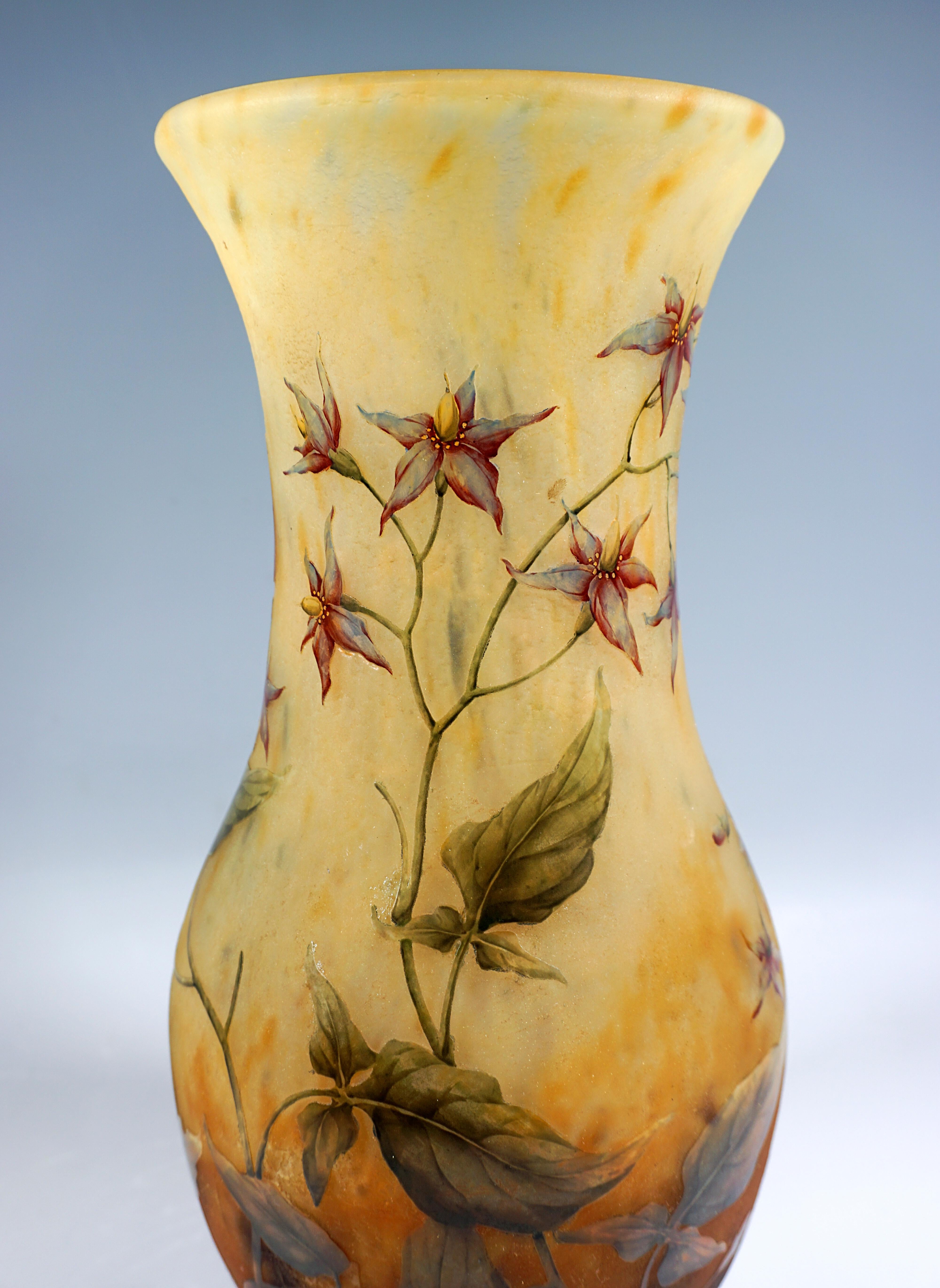 Large Art Nouveau Cameo Vase, Solanum Dulcamara Decor, Daum Nancy, France, 1910 In Good Condition For Sale In Vienna, AT