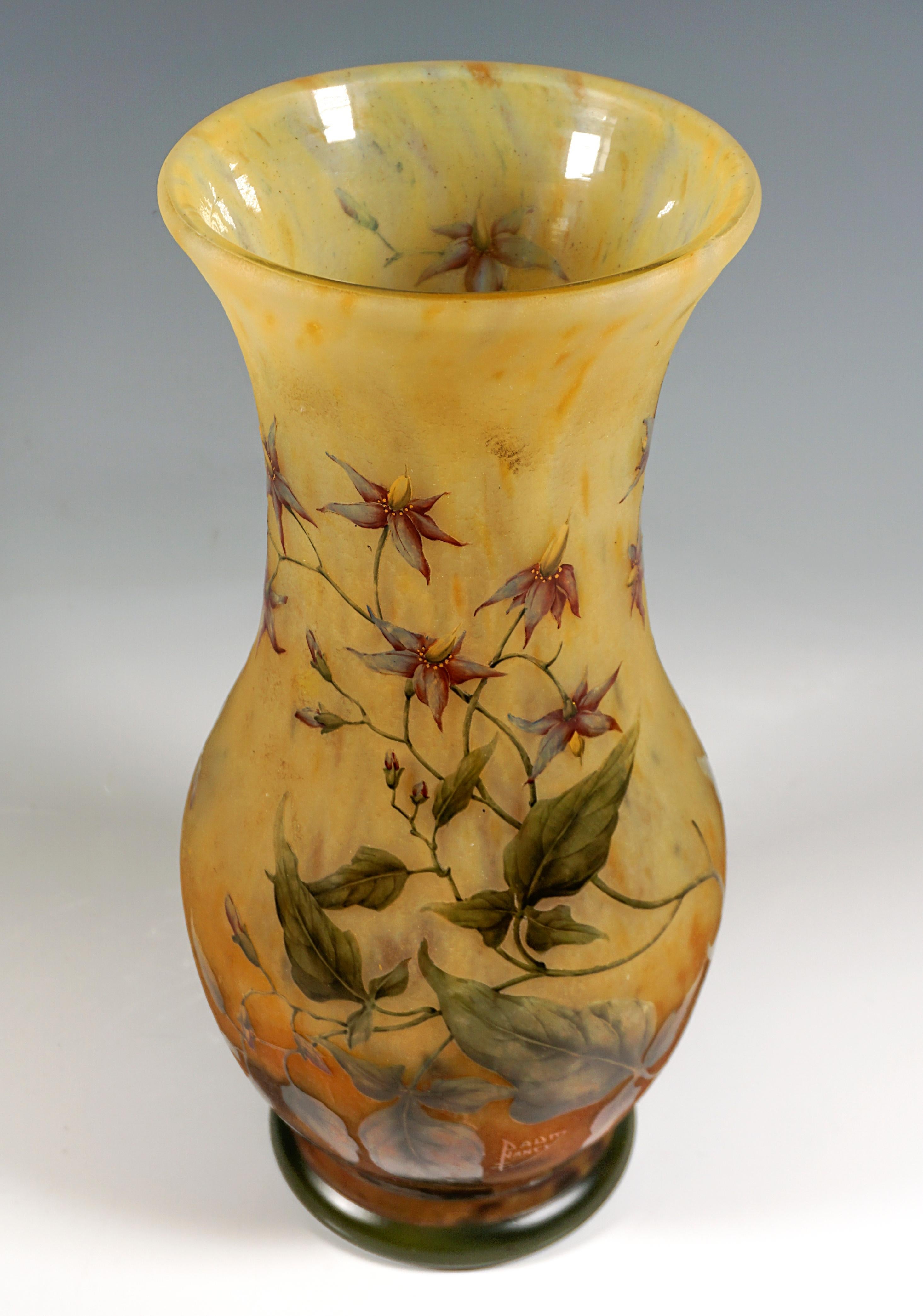 Glass Large Art Nouveau Cameo Vase, Solanum Dulcamara Decor, Daum Nancy, France, 1910 For Sale