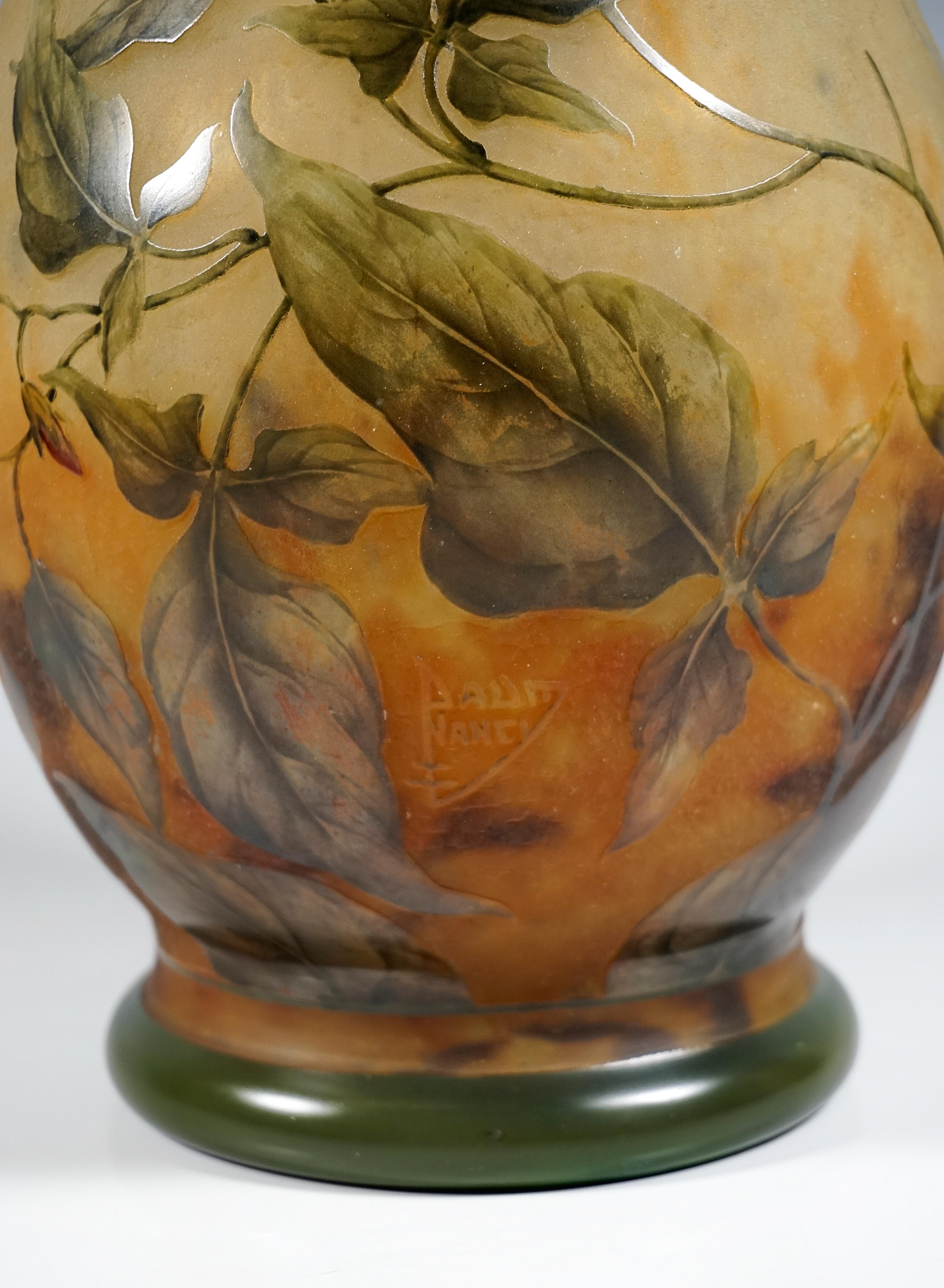 Large Art Nouveau Cameo Vase, Solanum Dulcamara Decor, Daum Nancy, France, 1910 For Sale 1
