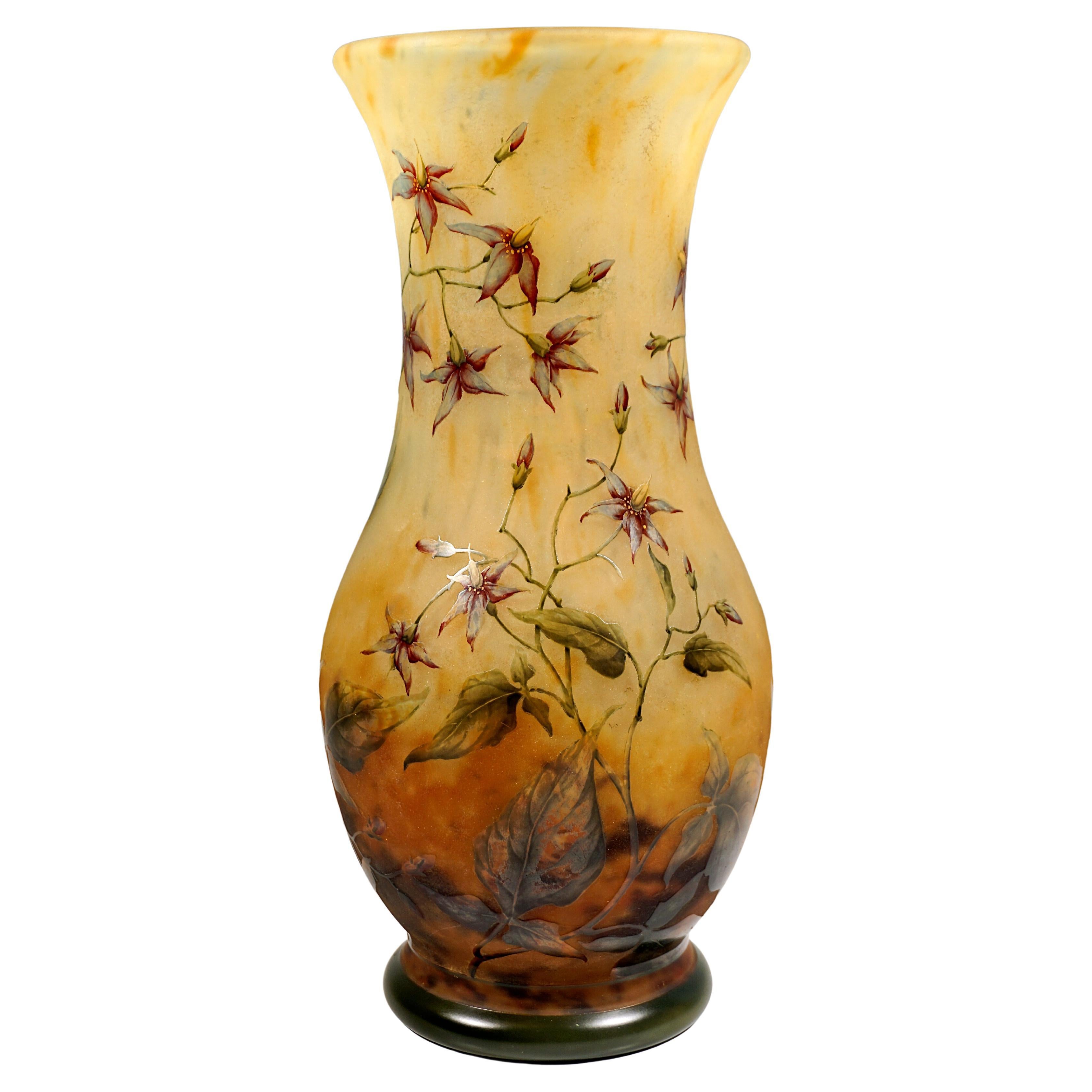 Large Art Nouveau Cameo Vase, Solanum Dulcamara Decor, Daum Nancy, France, 1910