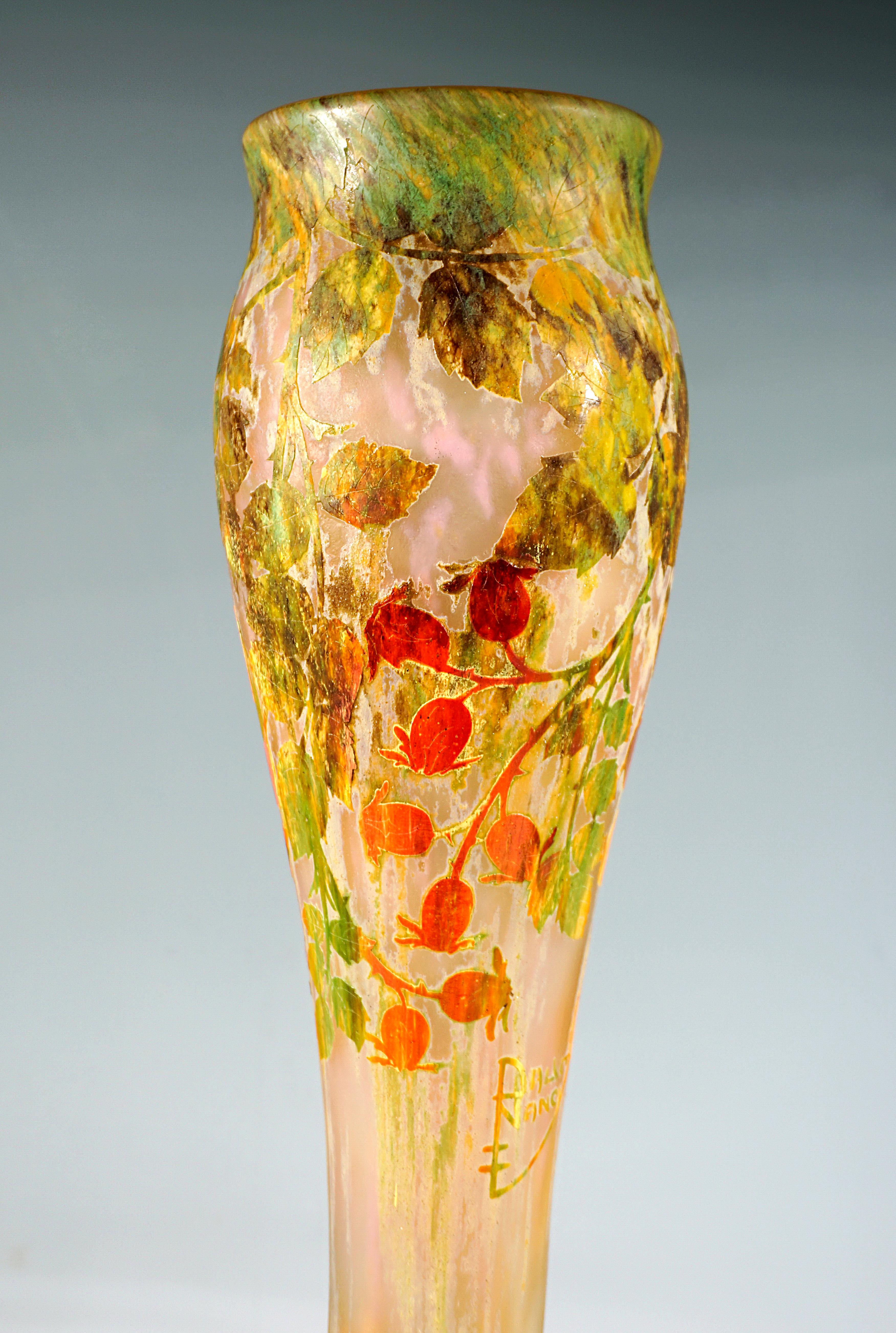 Early 20th Century Large Art Nouveau Cameo Vase with Rosehip Decor, Daum Nancy, France, circa 1910 For Sale