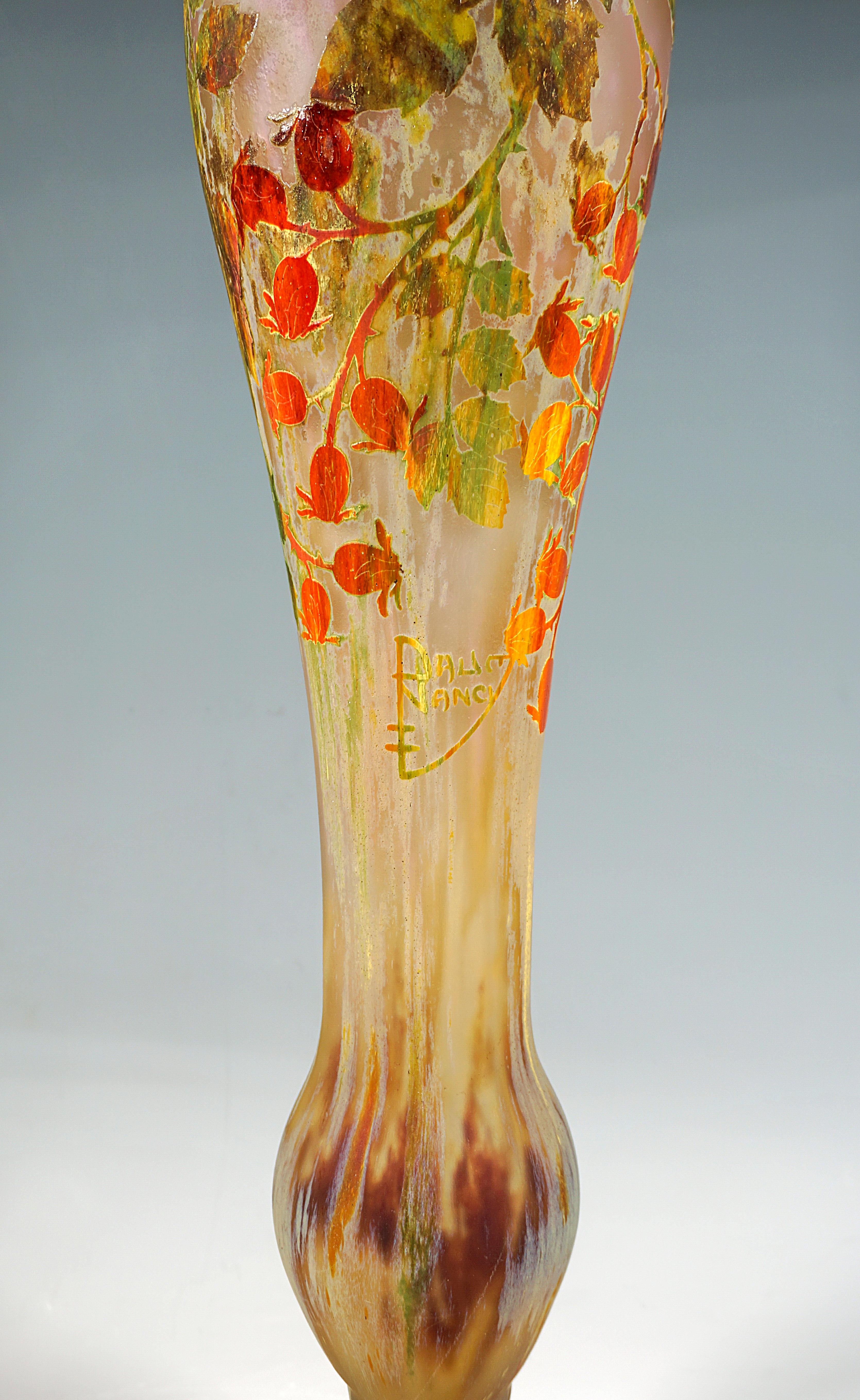 Glass Large Art Nouveau Cameo Vase with Rosehip Decor, Daum Nancy, France, circa 1910 For Sale