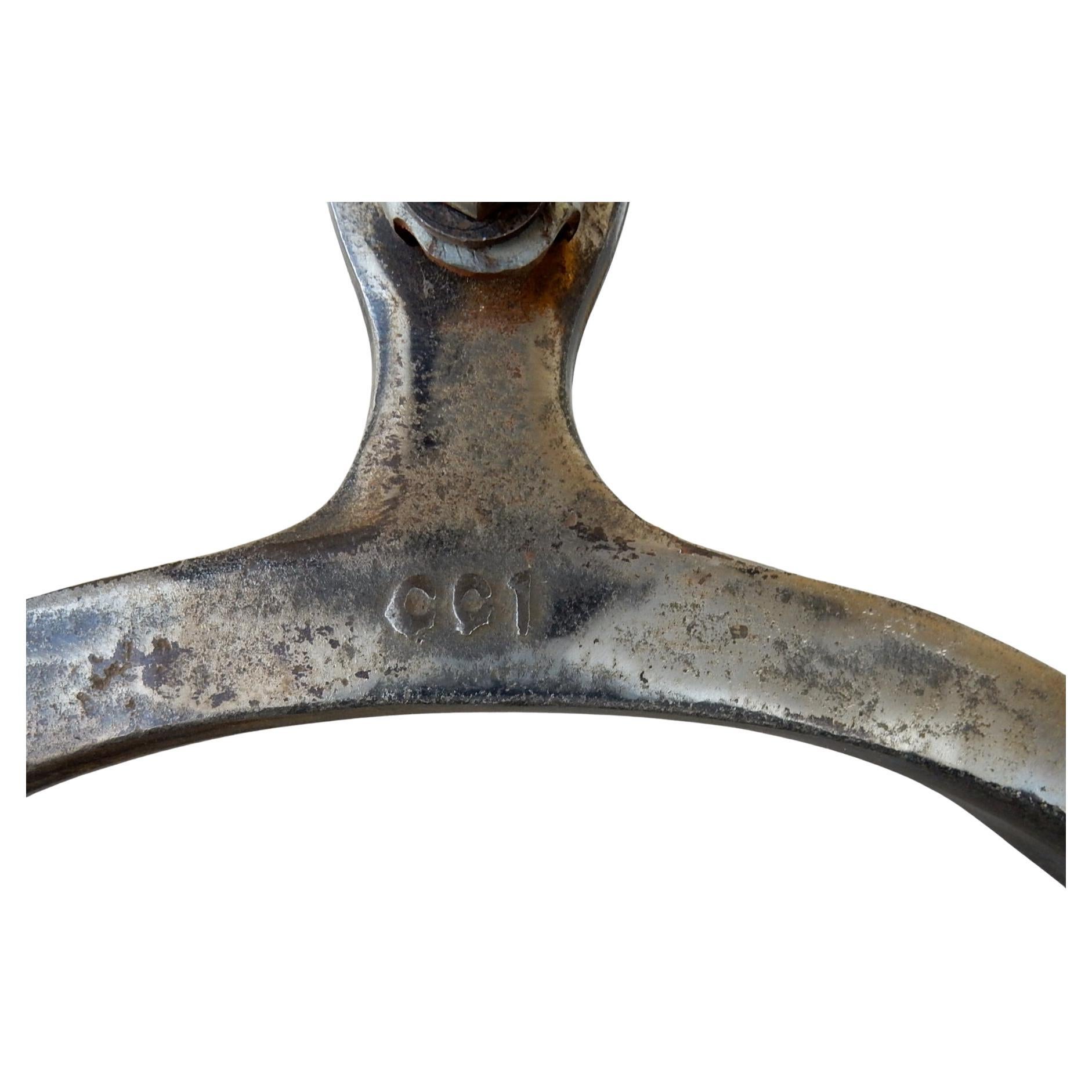 Iron Large Art Nouveau Era Medallion Fireplace Andirons