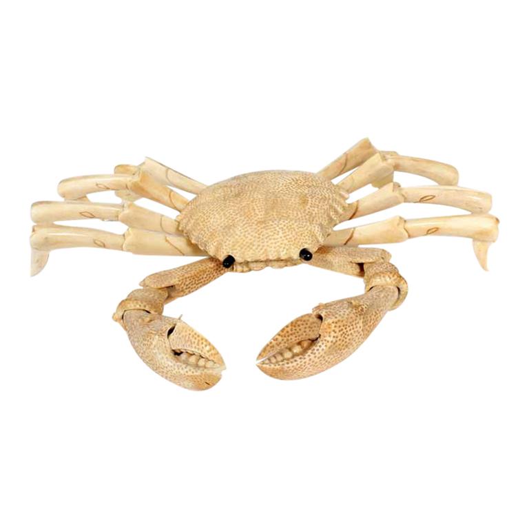 Large Articulated Bone Crab