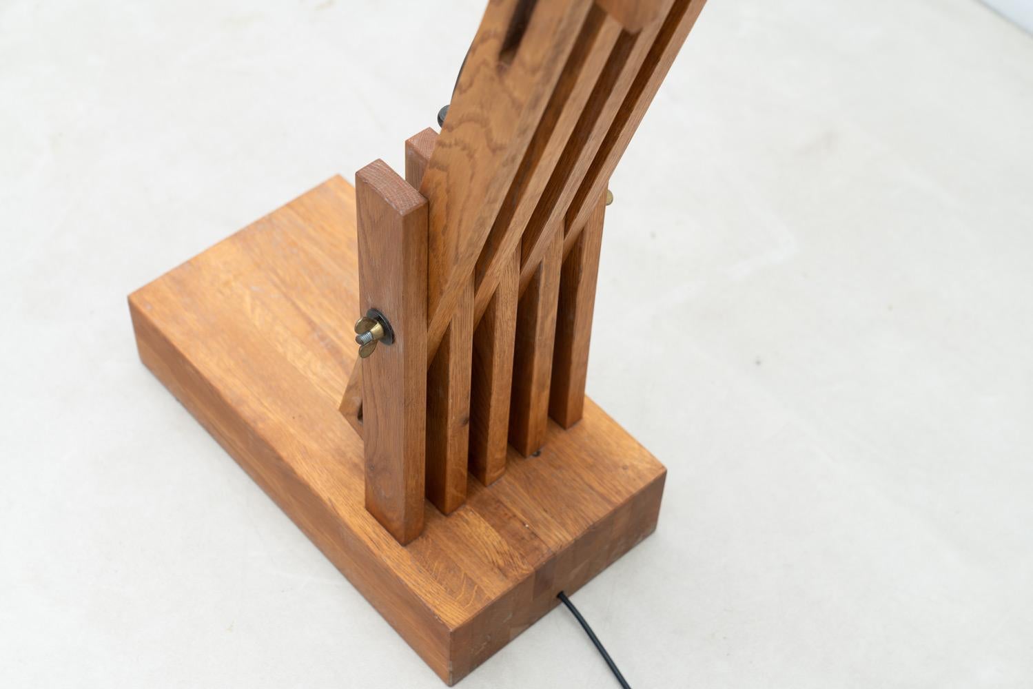 Large articulated floor lamp by Daniel Pigeon, France, 1970s 8