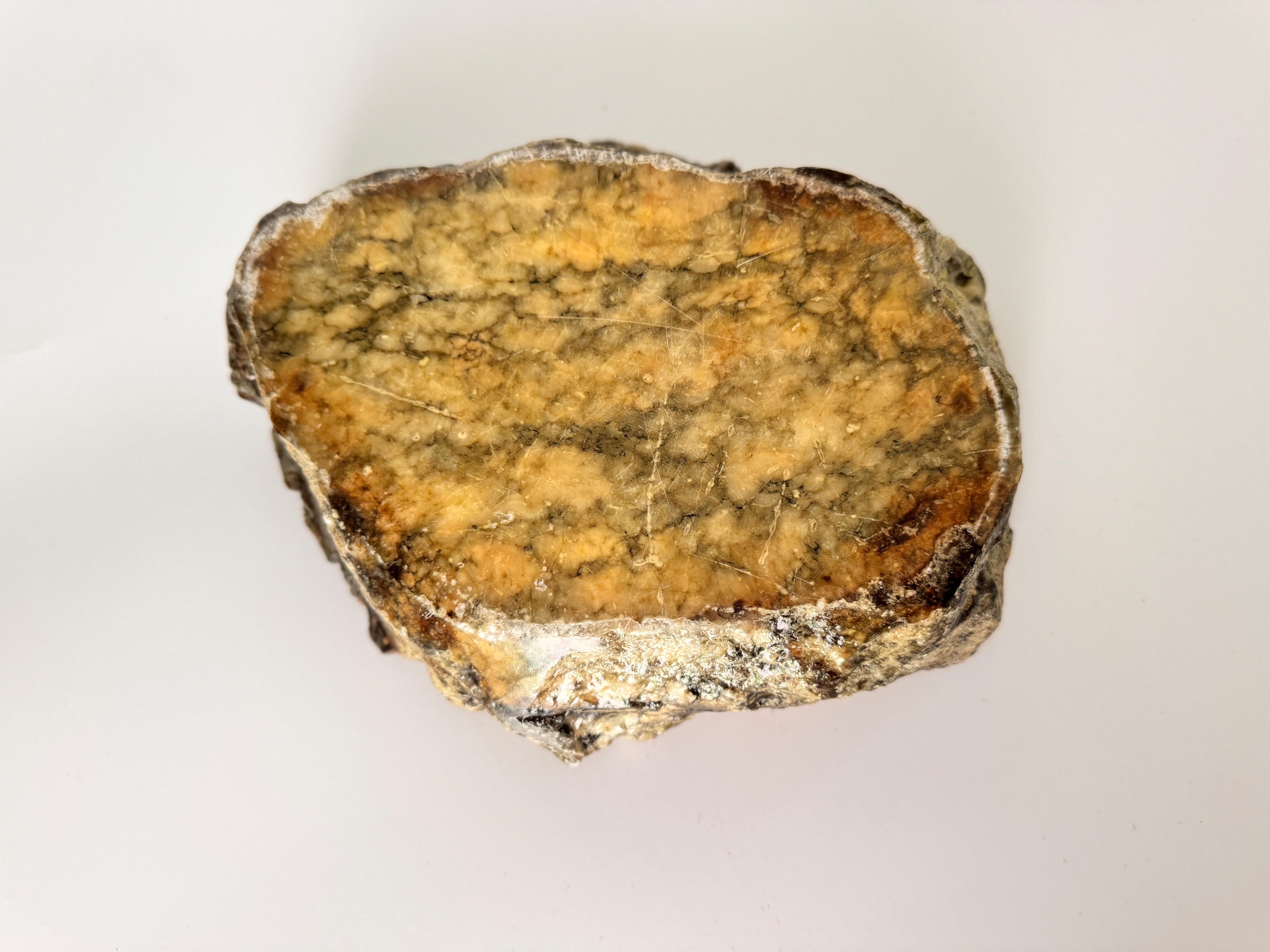 Großer Aschenbecher oder Vide Poche in Marmor Onyx in grüner Farbe Italien 1960 im Angebot 1