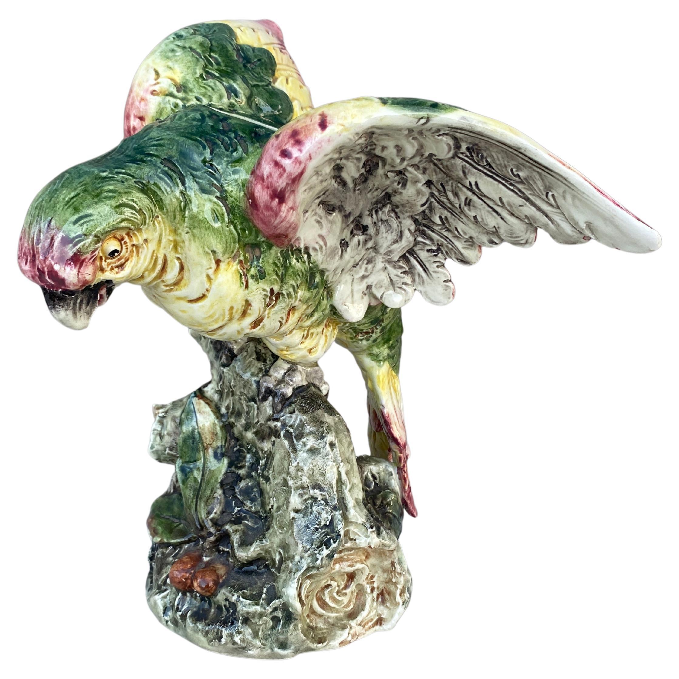 Large 19th century Austrian Majolica parrot.
Measures: H / 10.8 inches,9.5