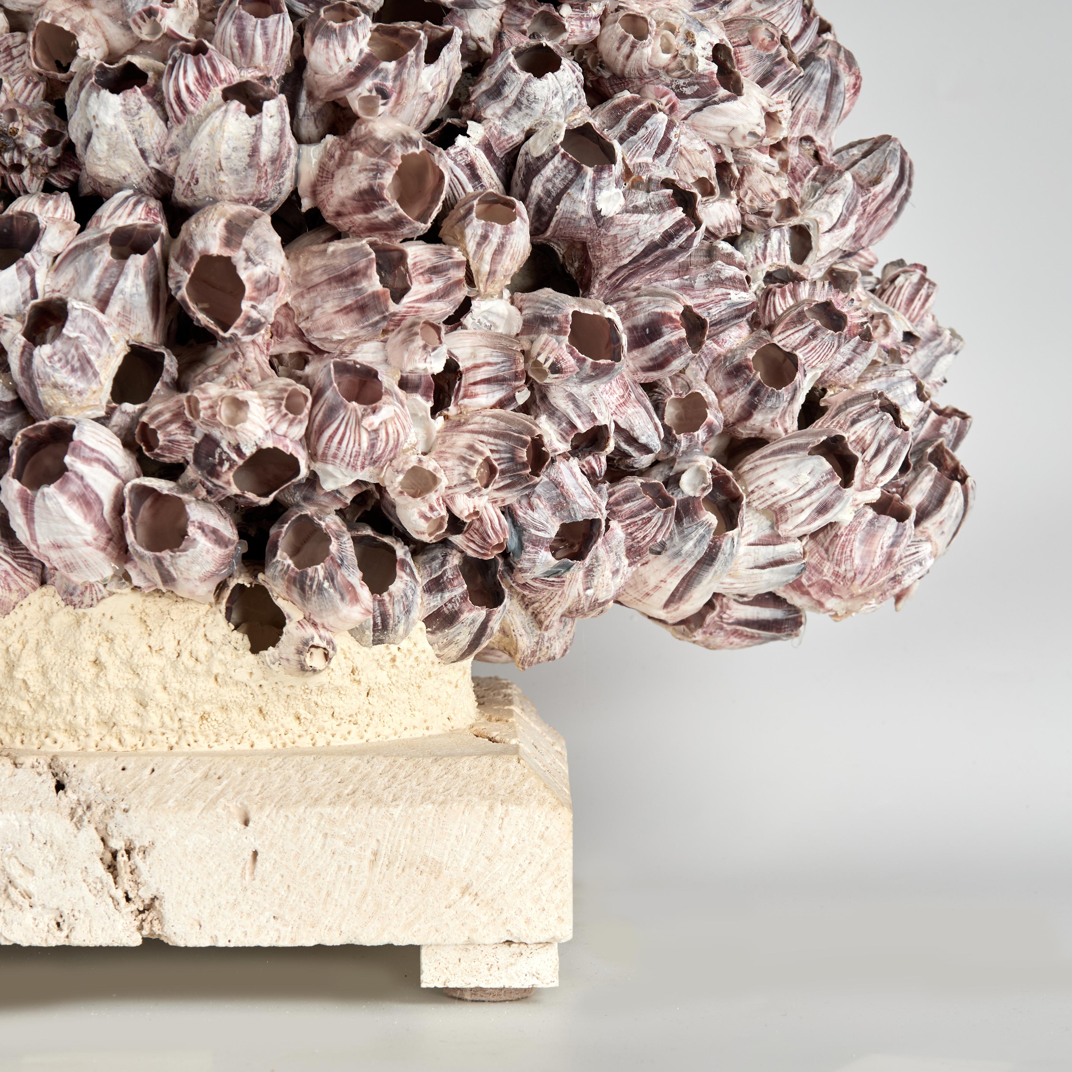 Large Barnacle Sculpture Mounted on Coquina Stone In Good Condition For Sale In Palm Beach, FL