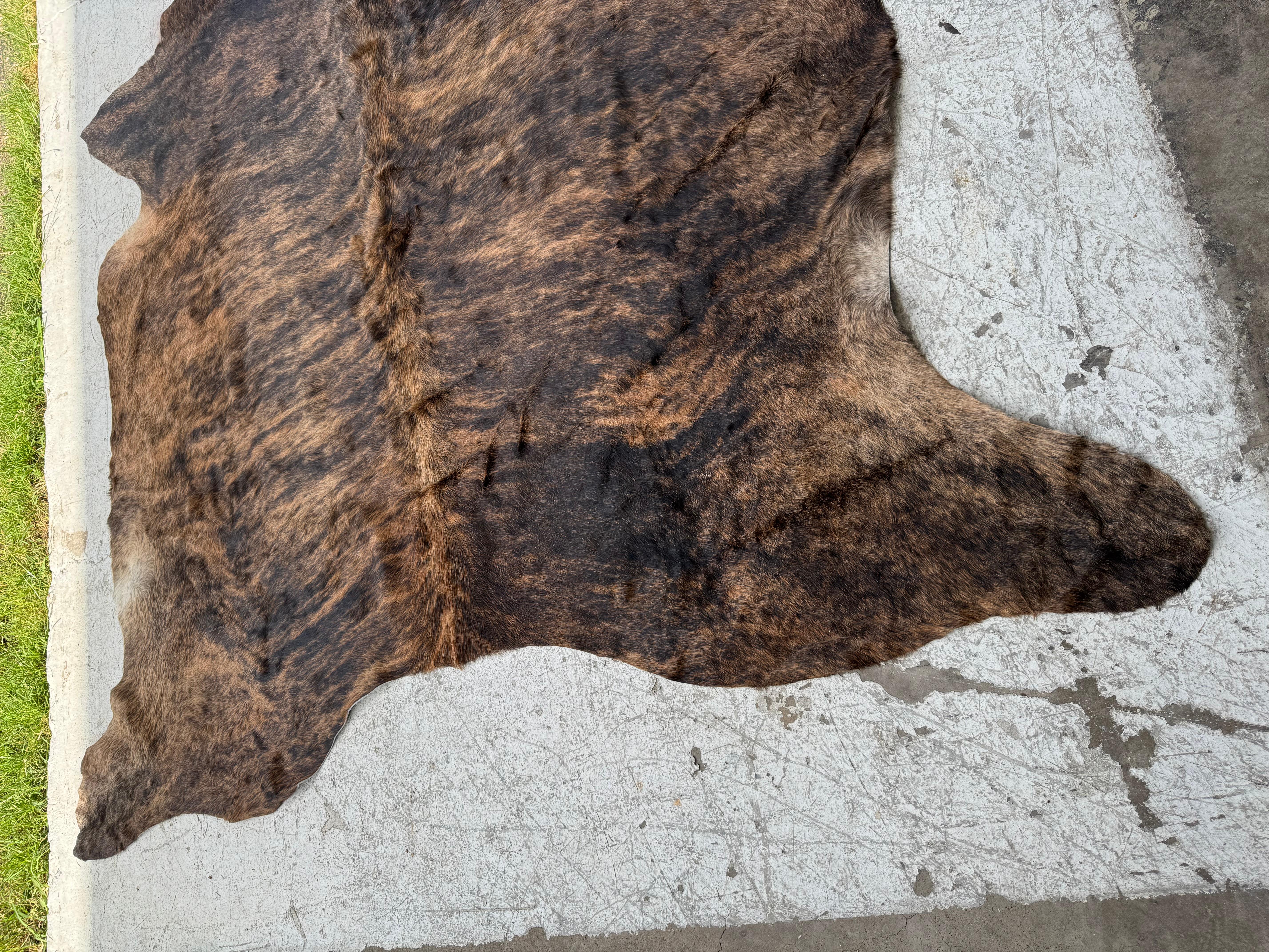 Große schöne Kuhhaut/Pelz (amerikanisch) im Angebot