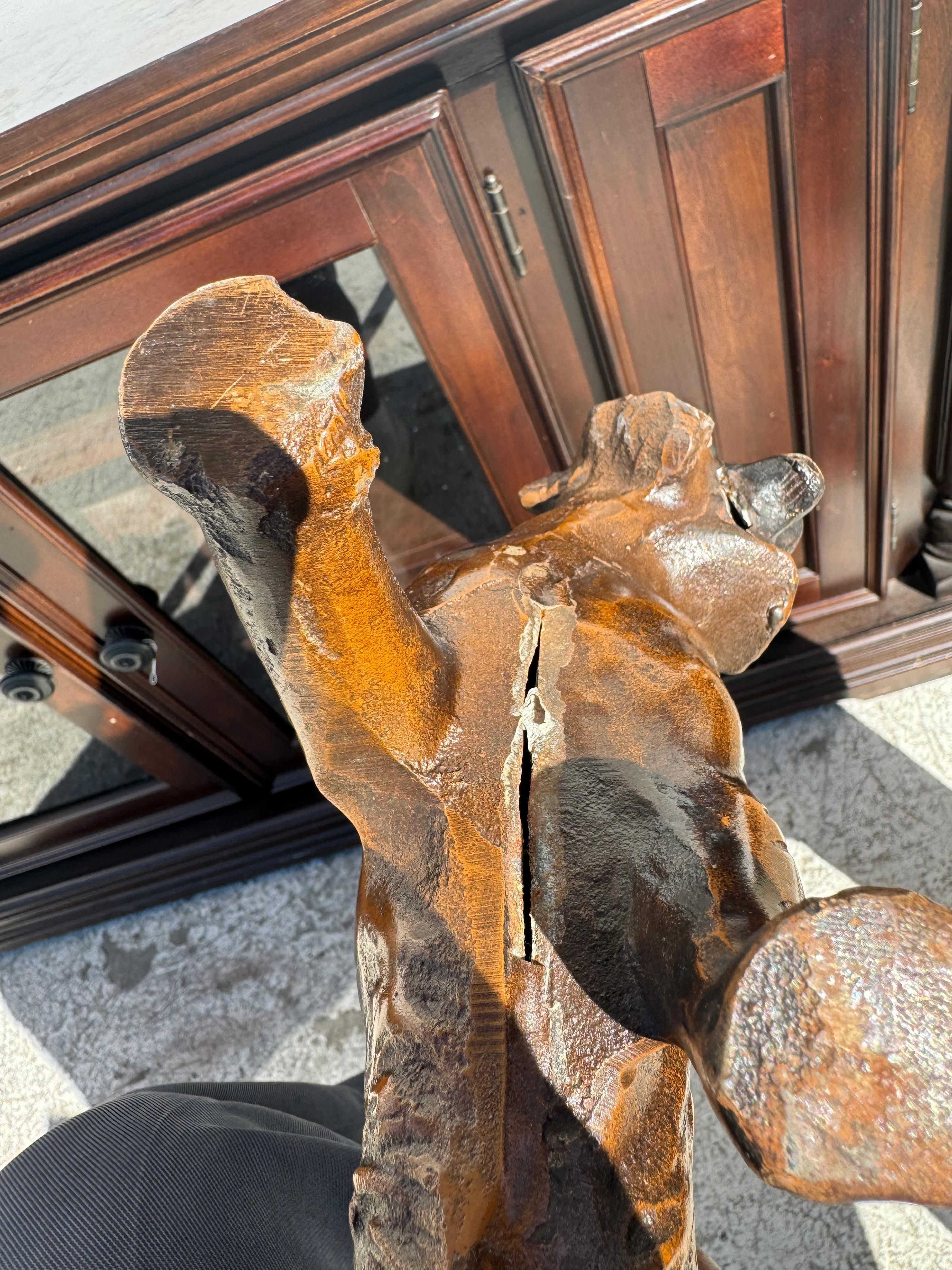 Großes schönes Kuhfell/Decke im Angebot 1