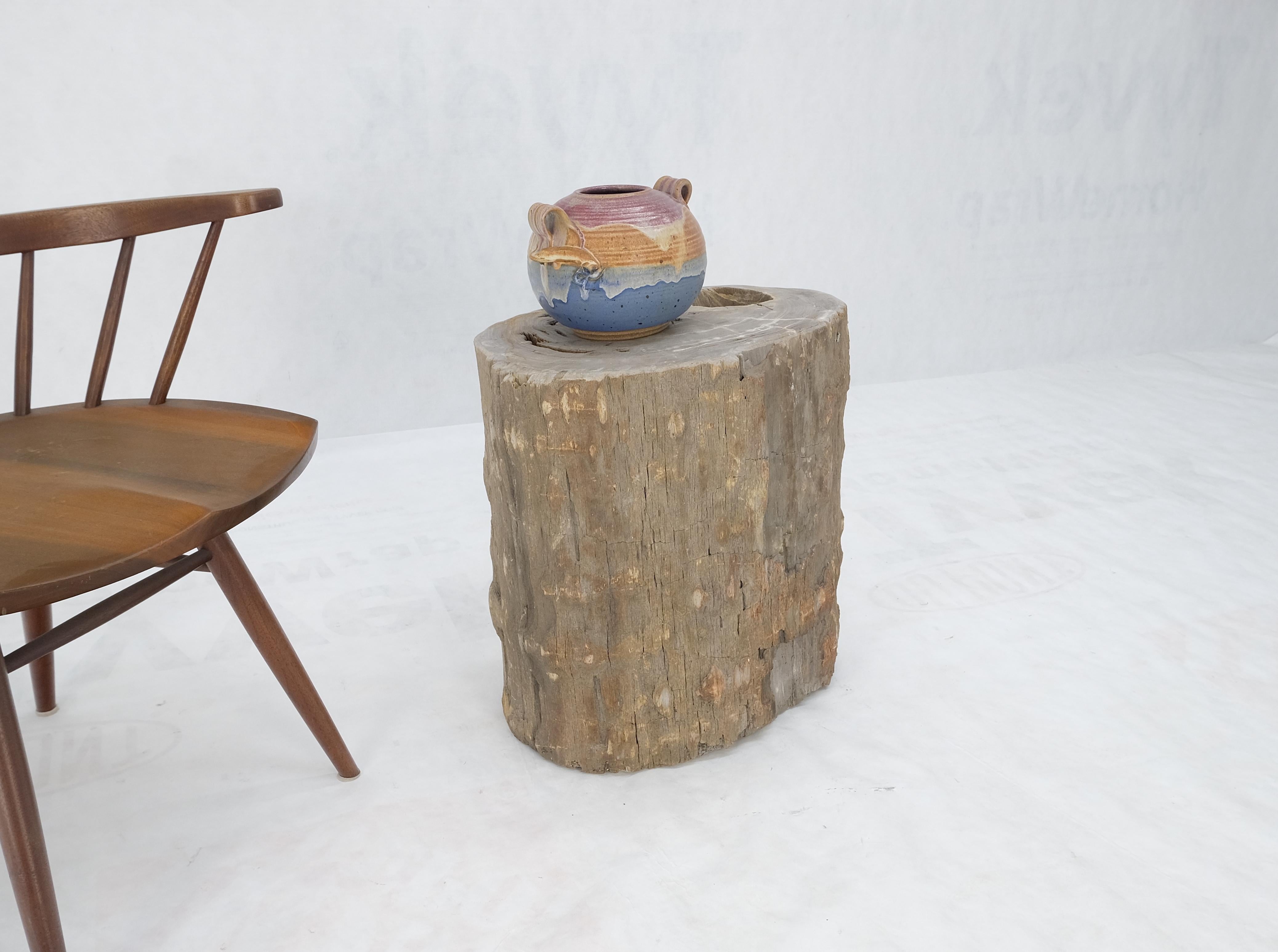 Grande tavolo laterale in legno pietrificato beige a forma di stomp organico, con piedistallo in vendita 3