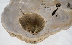Large Beige Petrified Wood Organic Stomp Shape Stand End Side Table Pedestal