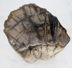 Large Beige Petrified Wood Organic Stomp Shape Stand End Side Table Pedestal