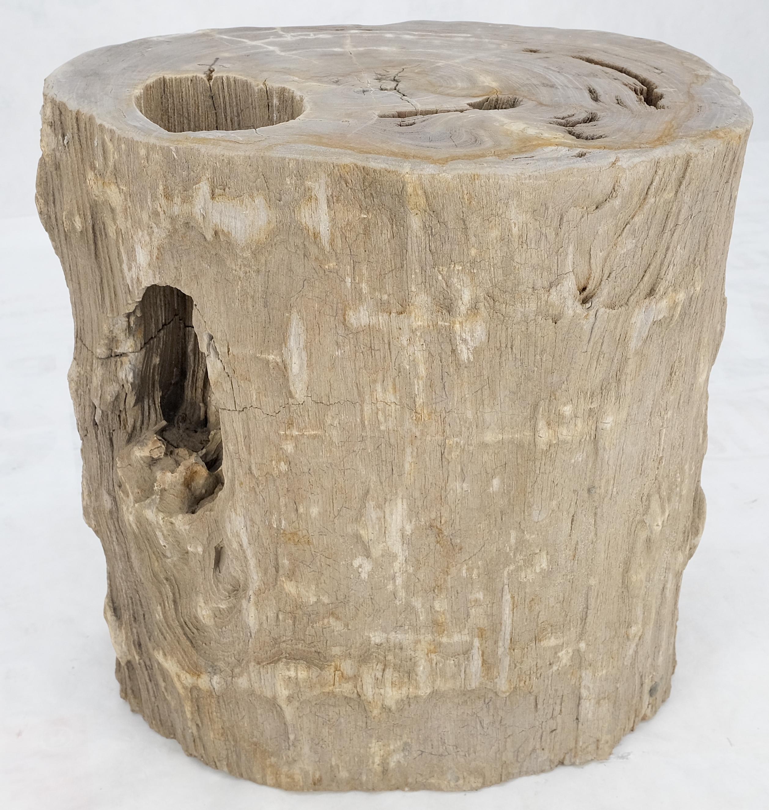 Indonesian Large Beige Petrified Wood Organic Stomp Shape Stand End Side Table Pedestal For Sale