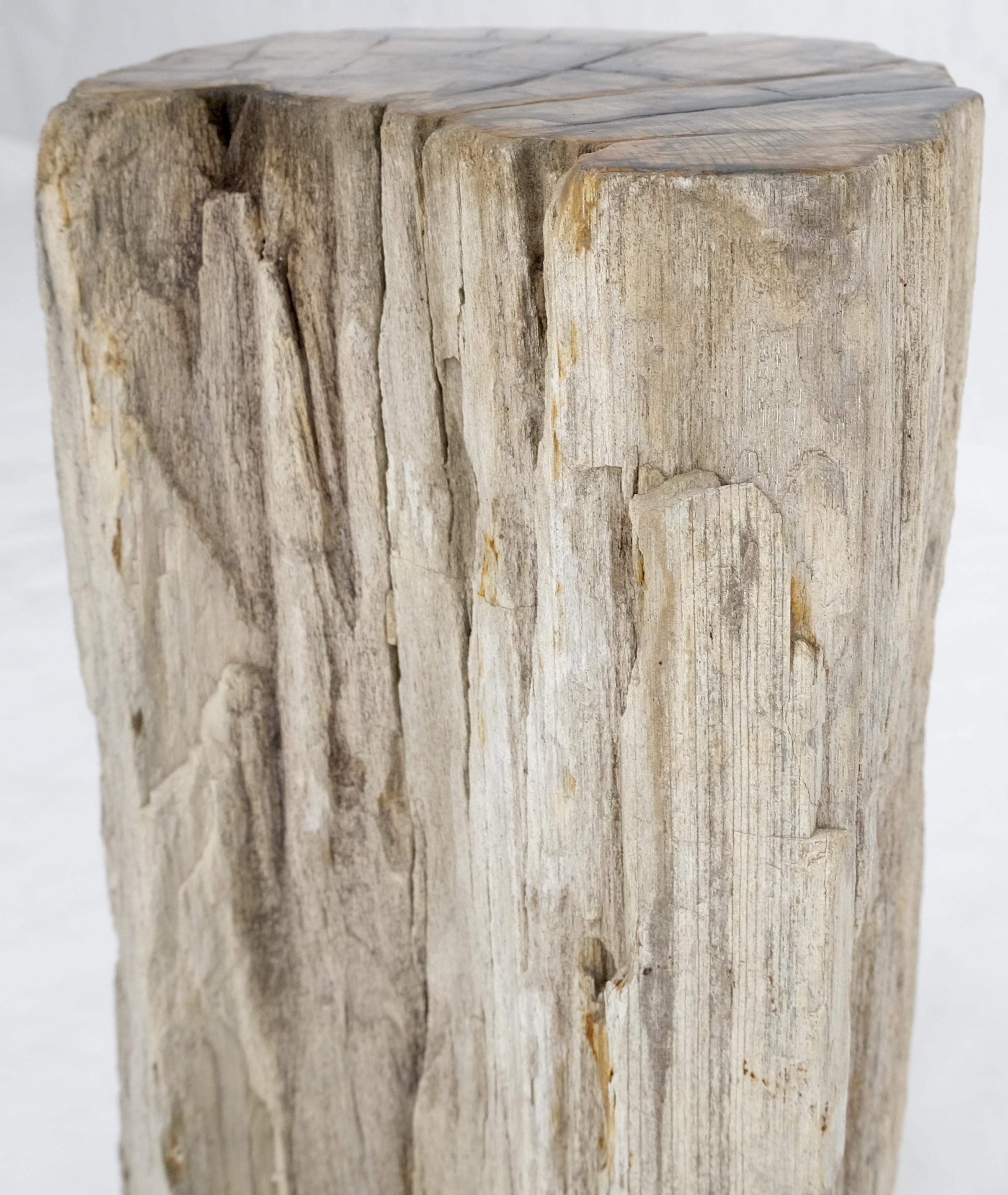 Indonesian Large Beige Petrified Wood Organic Stomp Shape Stand End Side Table Pedestal For Sale
