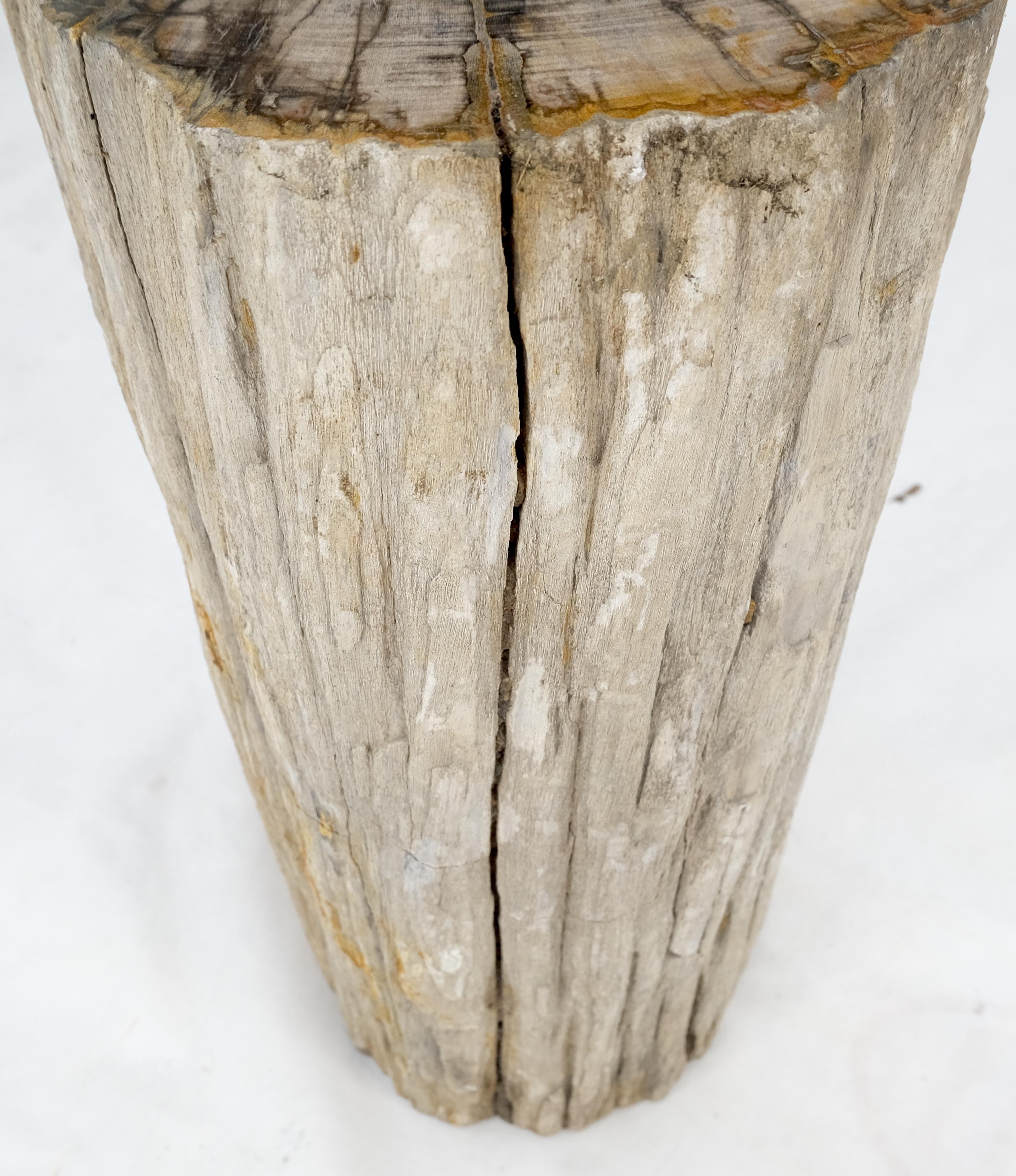 Polished Large Beige Petrified Wood Organic Stomp Shape Stand End Side Table Pedestal For Sale