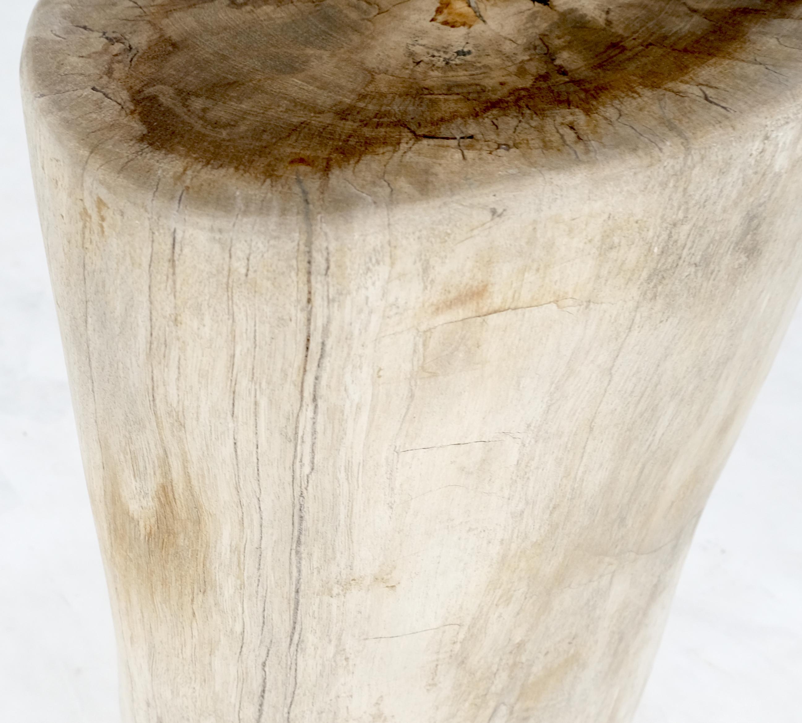 Large Beige Petrified Wood Organic Stomp Shape Stand End Side Table Pedestal In Excellent Condition For Sale In Rockaway, NJ