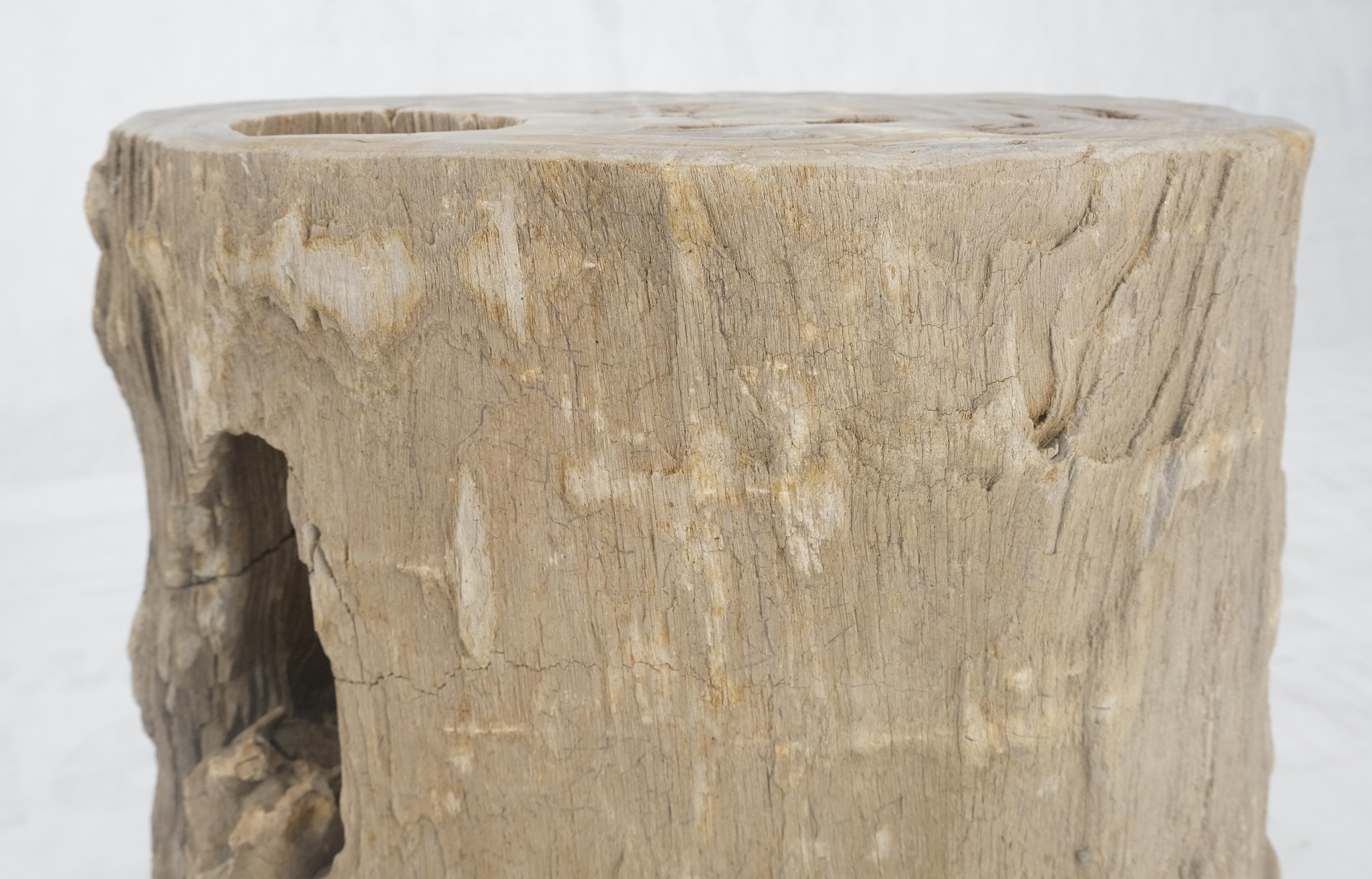 Große Beige versteinertes Holz Bio Stomp Form Stand Ende Beistelltisch Pedestal im Zustand „Hervorragend“ im Angebot in Rockaway, NJ