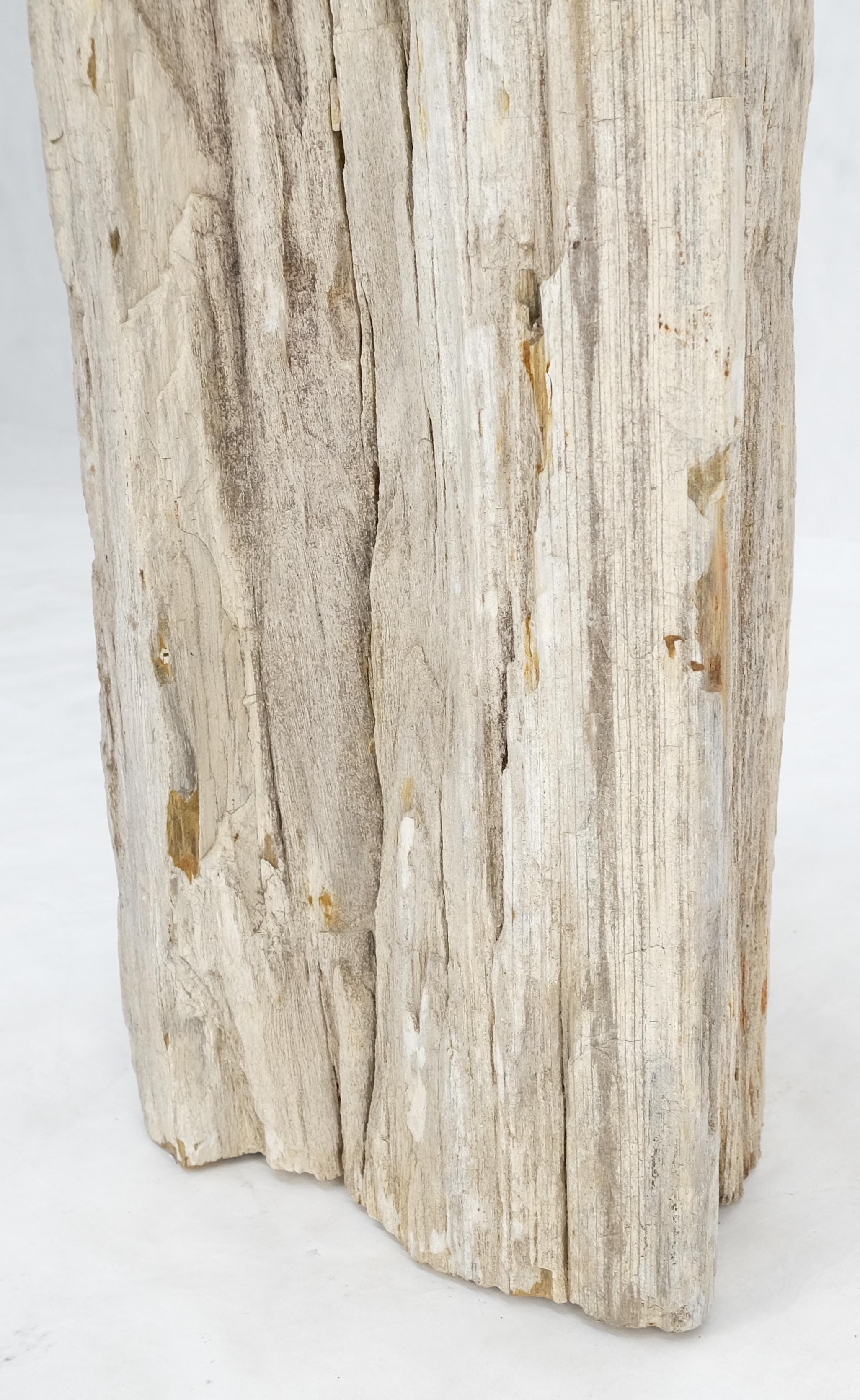 Contemporary Large Beige Petrified Wood Organic Stomp Shape Stand End Side Table Pedestal For Sale