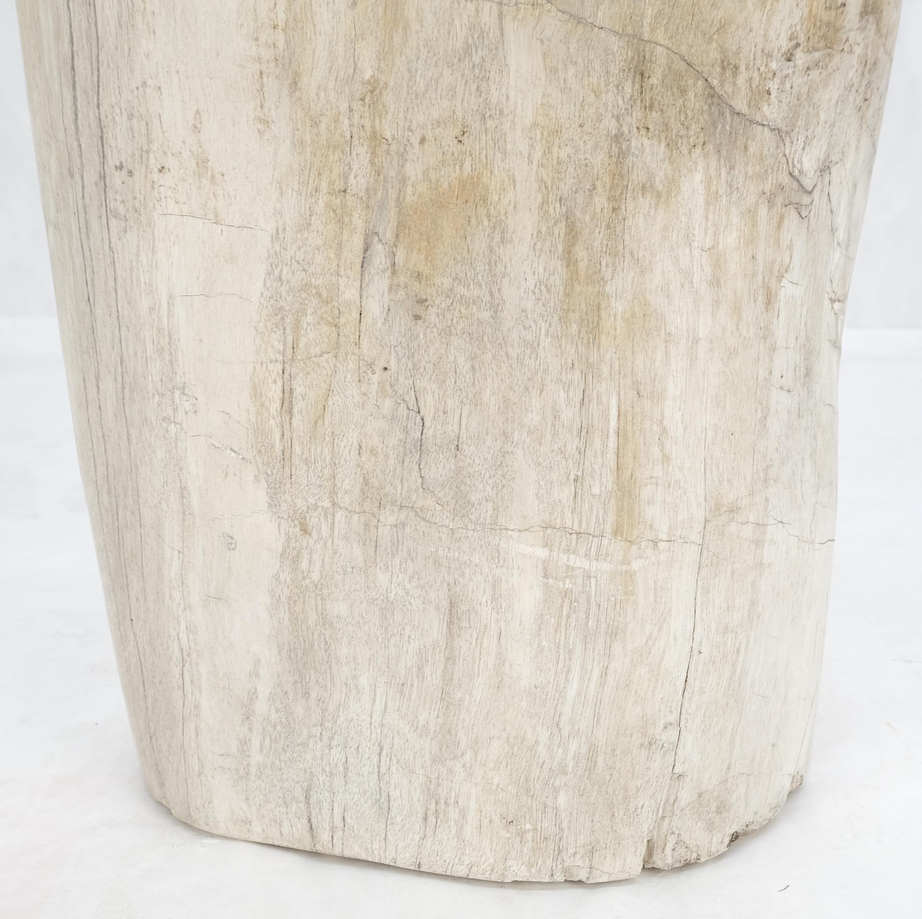 Large Beige Petrified Wood Organic Stomp Shape Stand End Side Table Pedestal For Sale 1