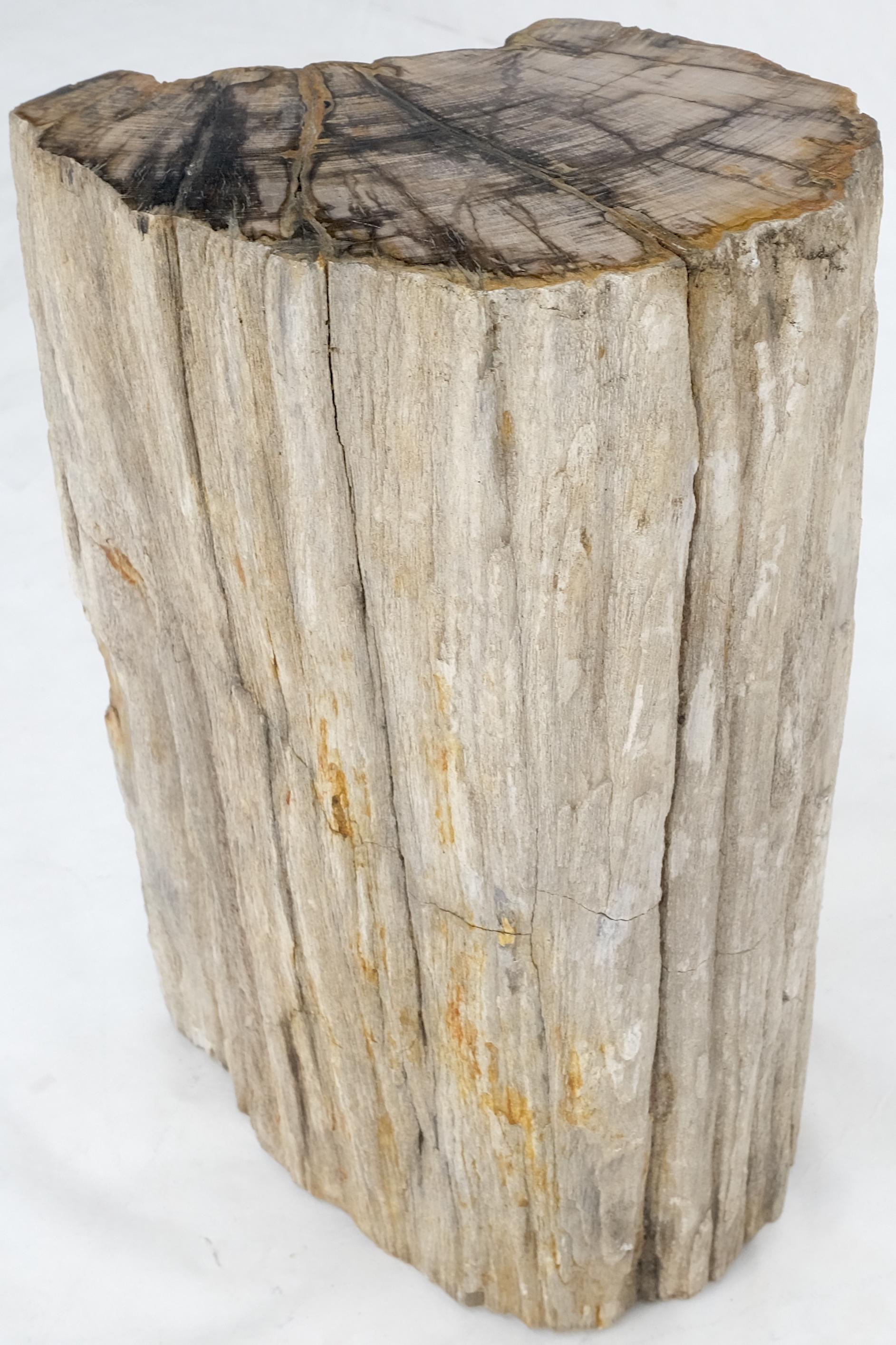 Large Beige Petrified Wood Organic Stomp Shape Stand End Side Table Pedestal For Sale 1