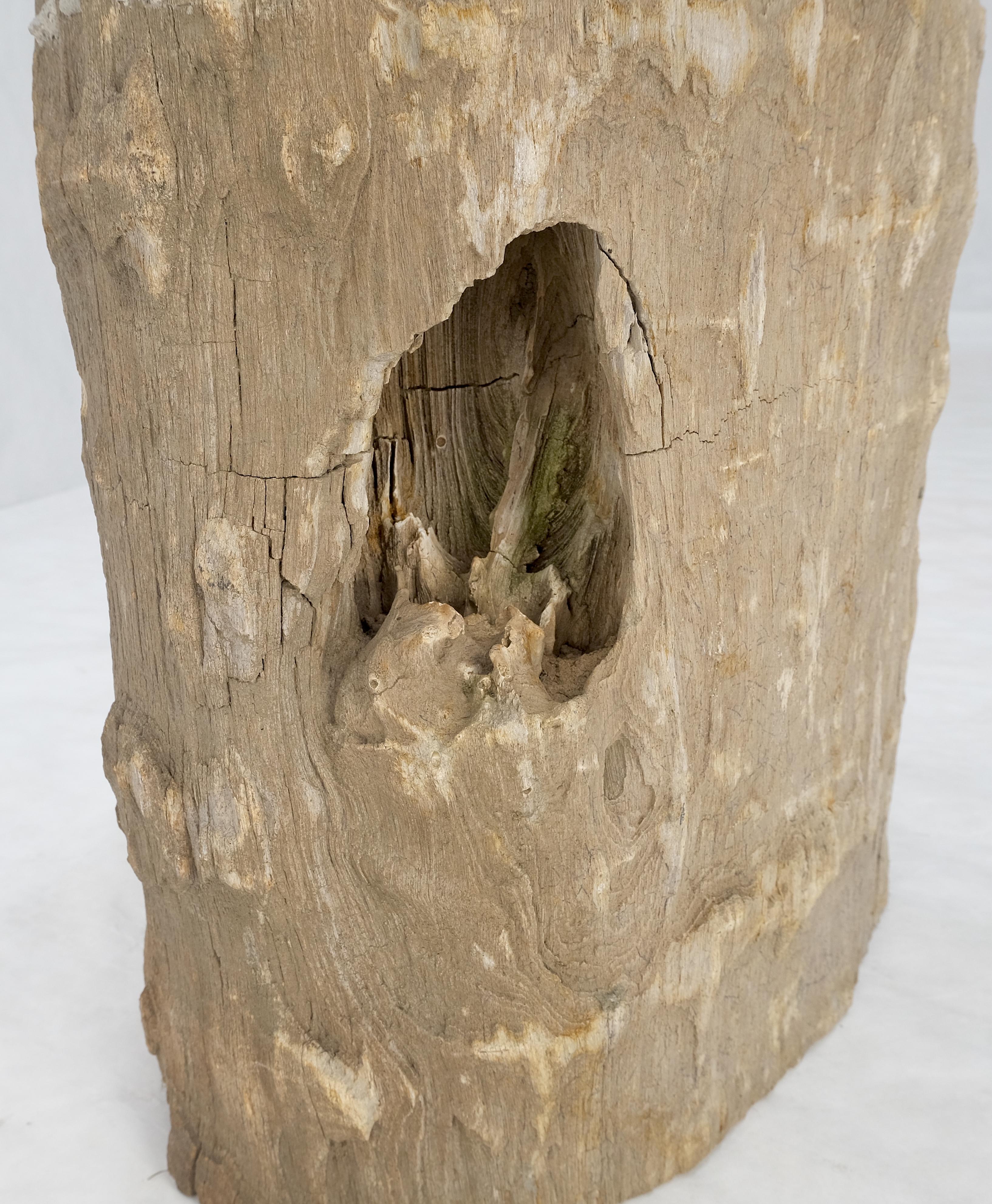Große Beige versteinertes Holz Bio Stomp Form Stand Ende Beistelltisch Pedestal im Angebot 1
