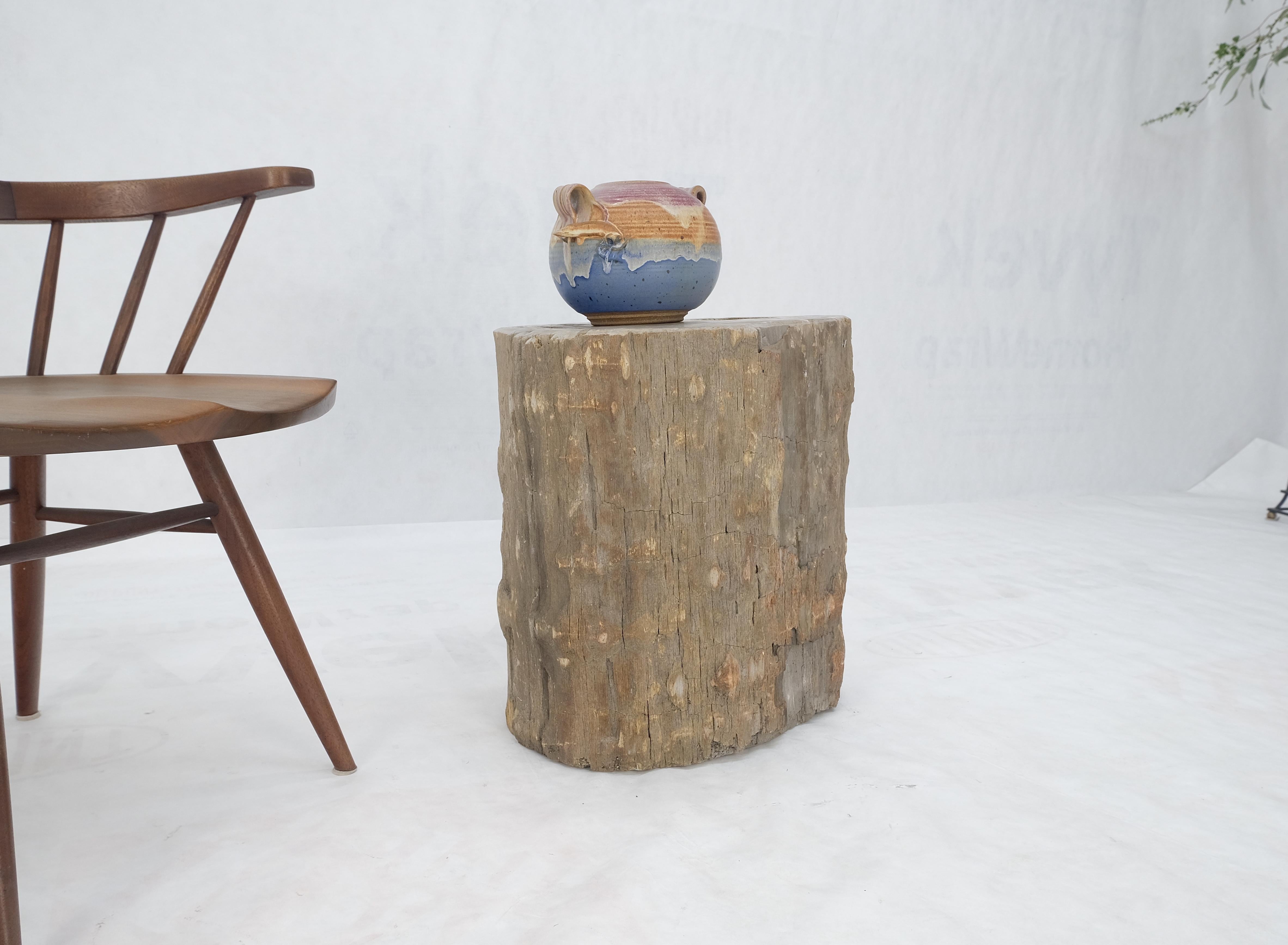 Large Beige Petrified Wood Organic Stomp Shape Stand End Side Table Pedestal en vente 2