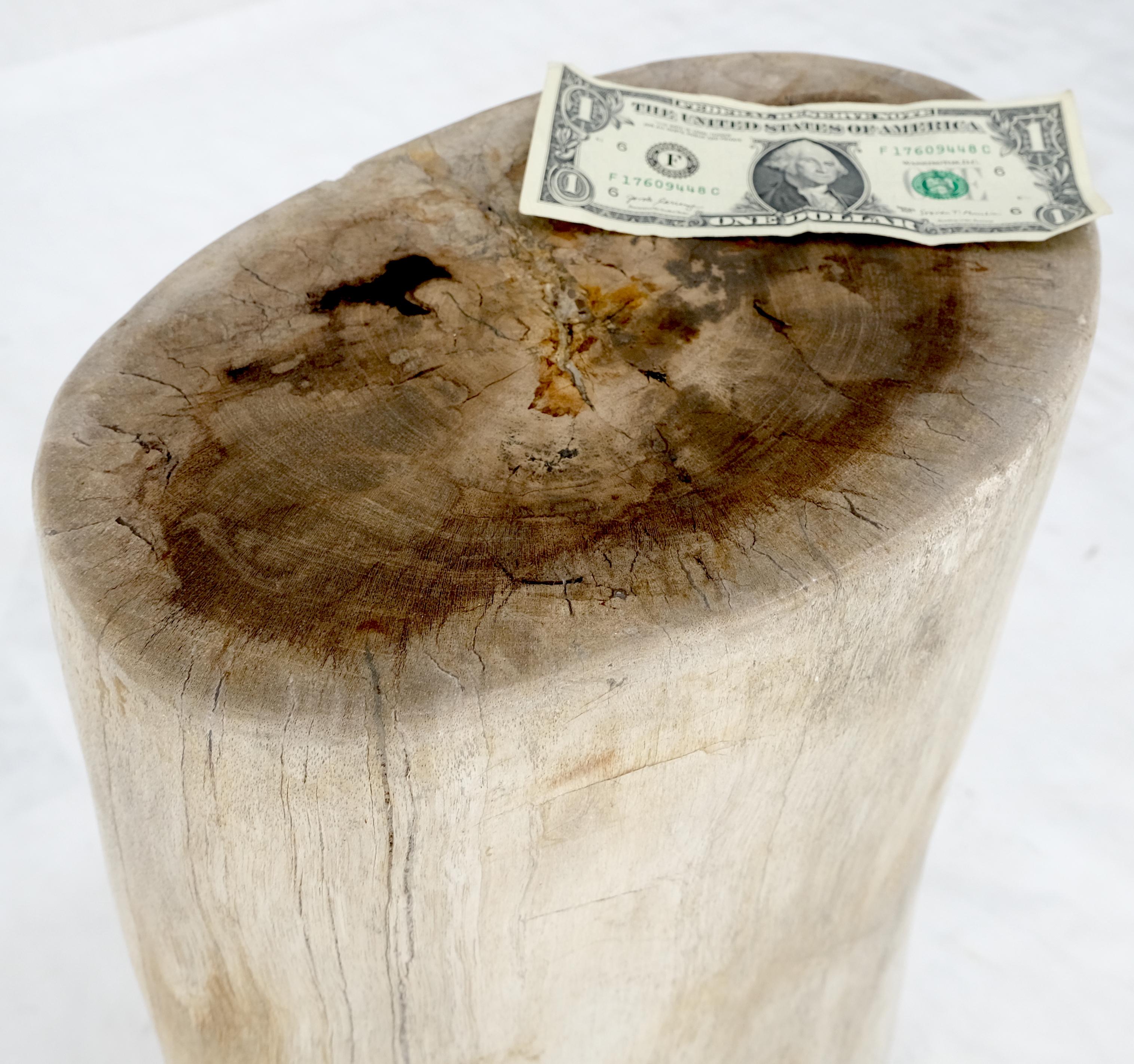 Large Beige Petrified Wood Organic Stomp Shape Stand End Side Table Pedestal For Sale 4