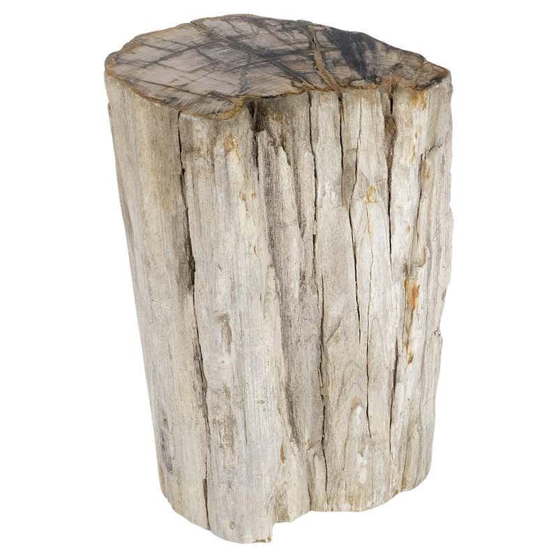 Beige Black Petrified Wood Organic Stomp Shape Stand End Side Table ...