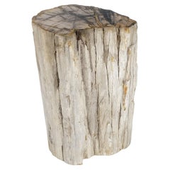 Große Beige versteinertes Holz Bio Stomp Form Stand Ende Beistelltisch Pedestal