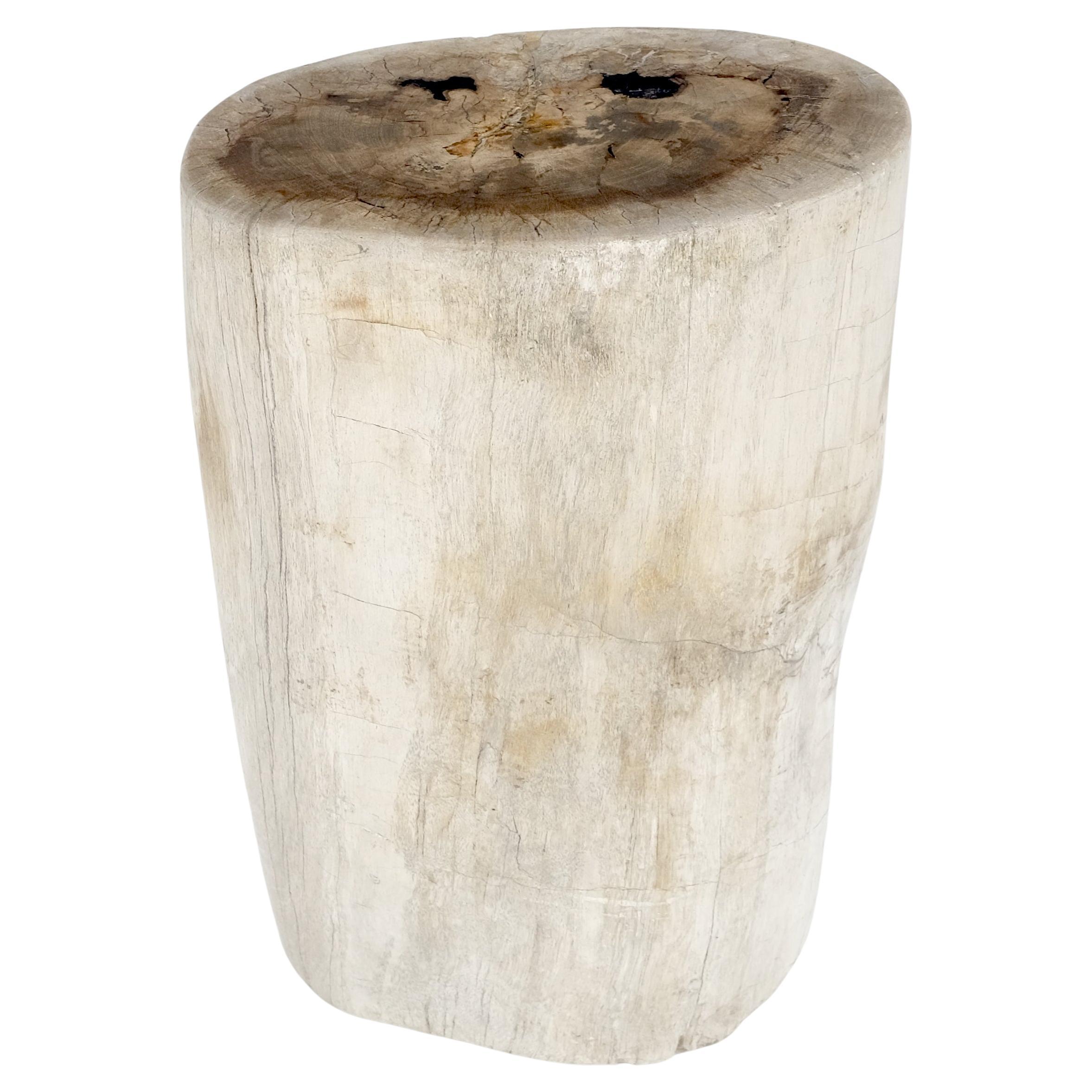 Large Beige Petrified Wood Organic Stomp Shape Stand End Side Table Pedestal en vente