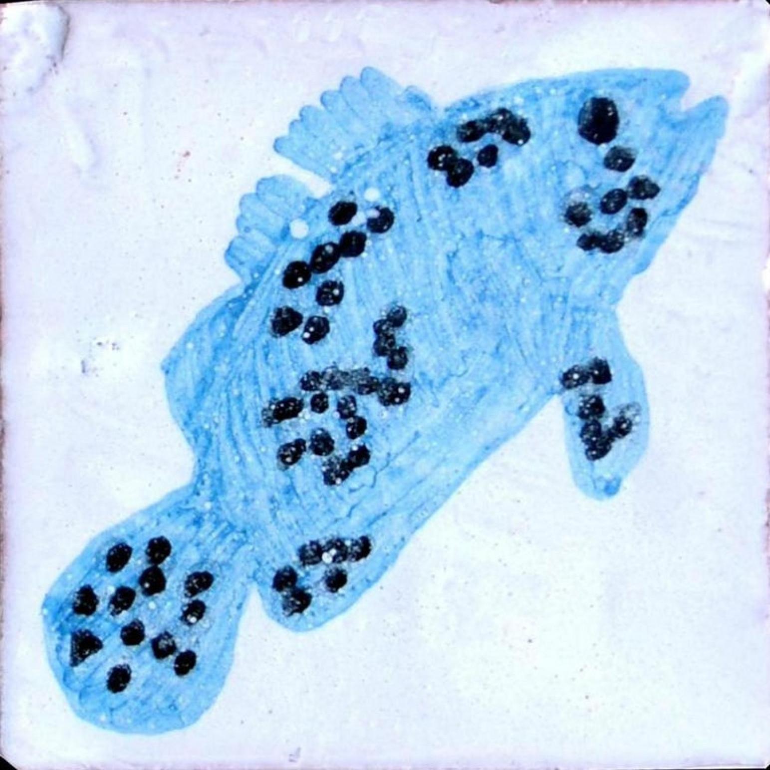 Large Berber Fish Tile Panel, Morocco 11