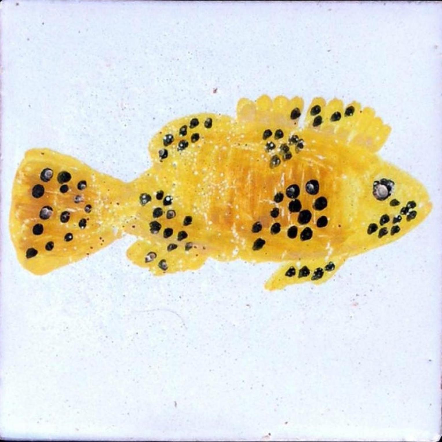 Ceramic Large Berber Fish Tile Panel, Morocco