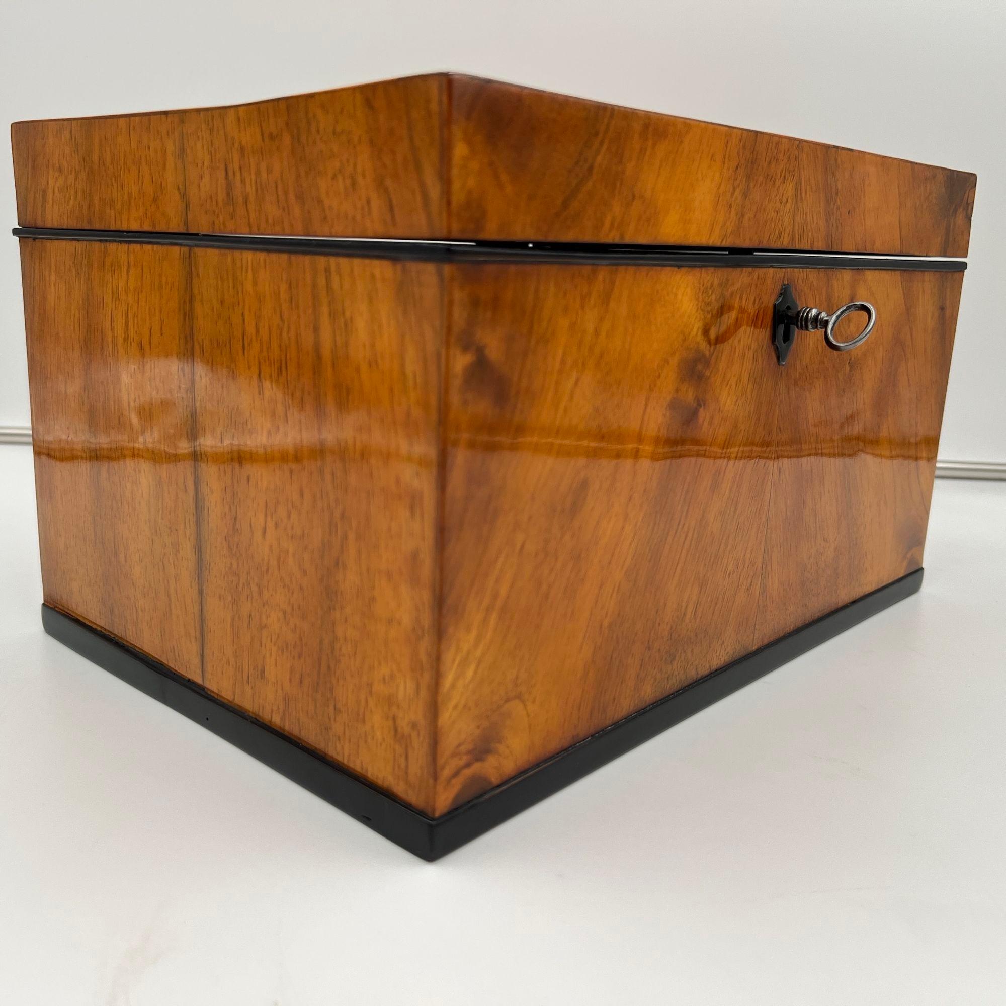 Large Biedermeier Box or Chest, Walnut Veneer, Brass, South Germany circa 1820 For Sale 7