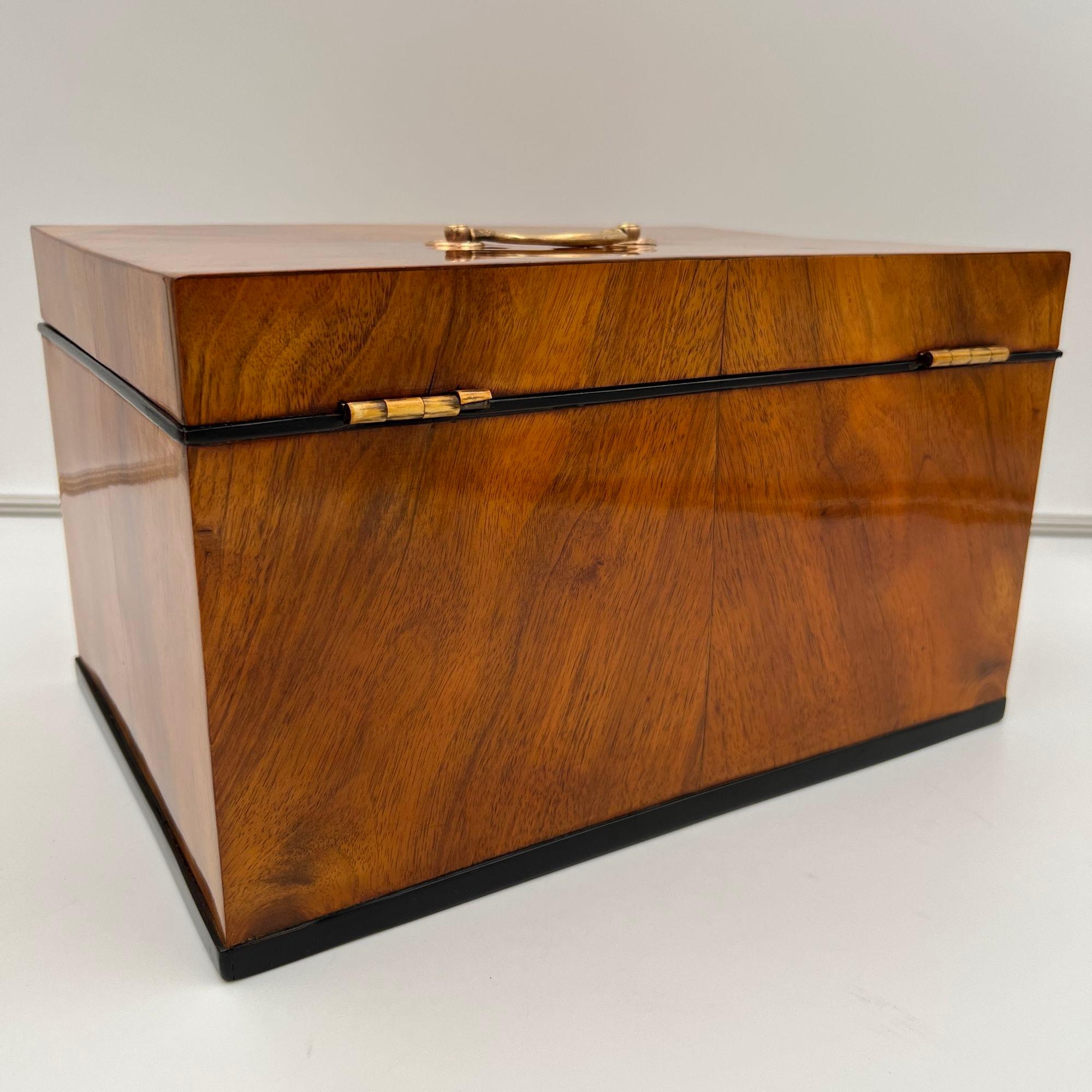 Large Biedermeier Box or Chest, Walnut Veneer, Brass, South Germany circa 1820 For Sale 8