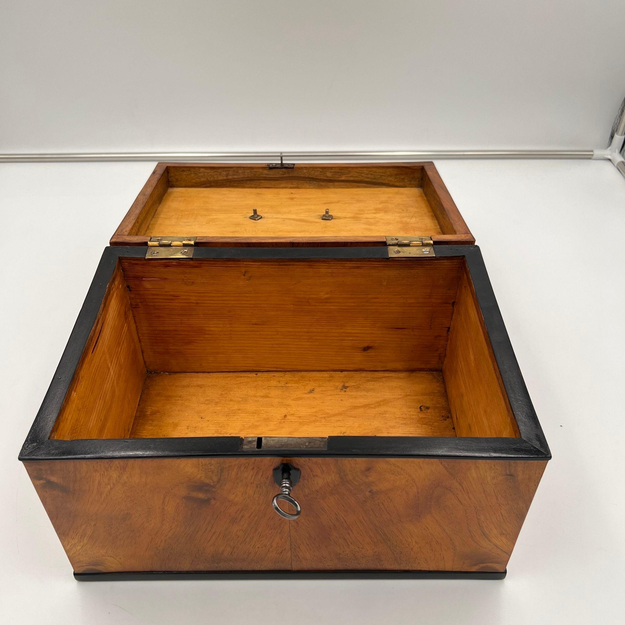 Large Biedermeier Box or Chest, Walnut Veneer, Brass, South Germany circa 1820 For Sale 10
