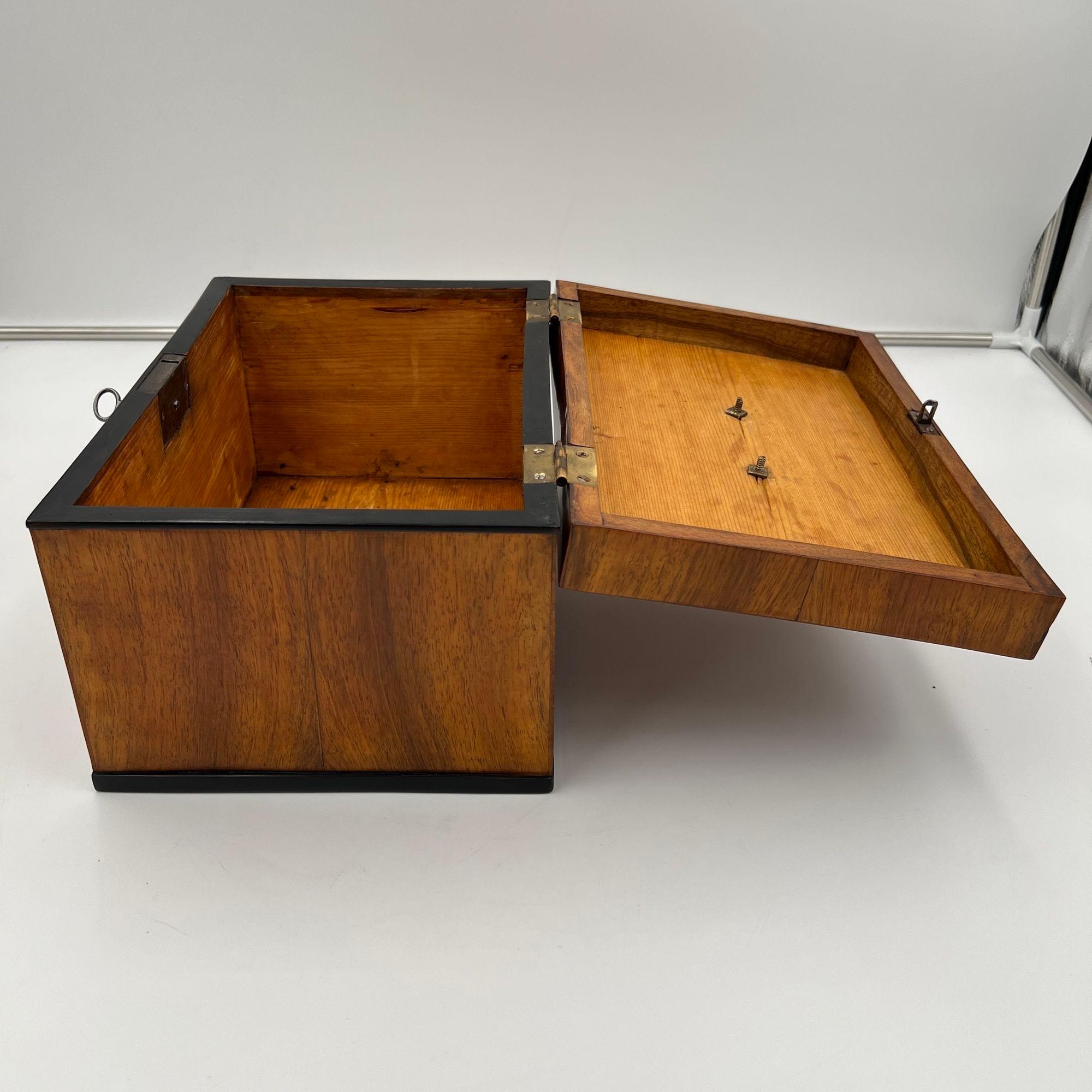 Large Biedermeier Box or Chest, Walnut Veneer, Brass, South Germany circa 1820 For Sale 11