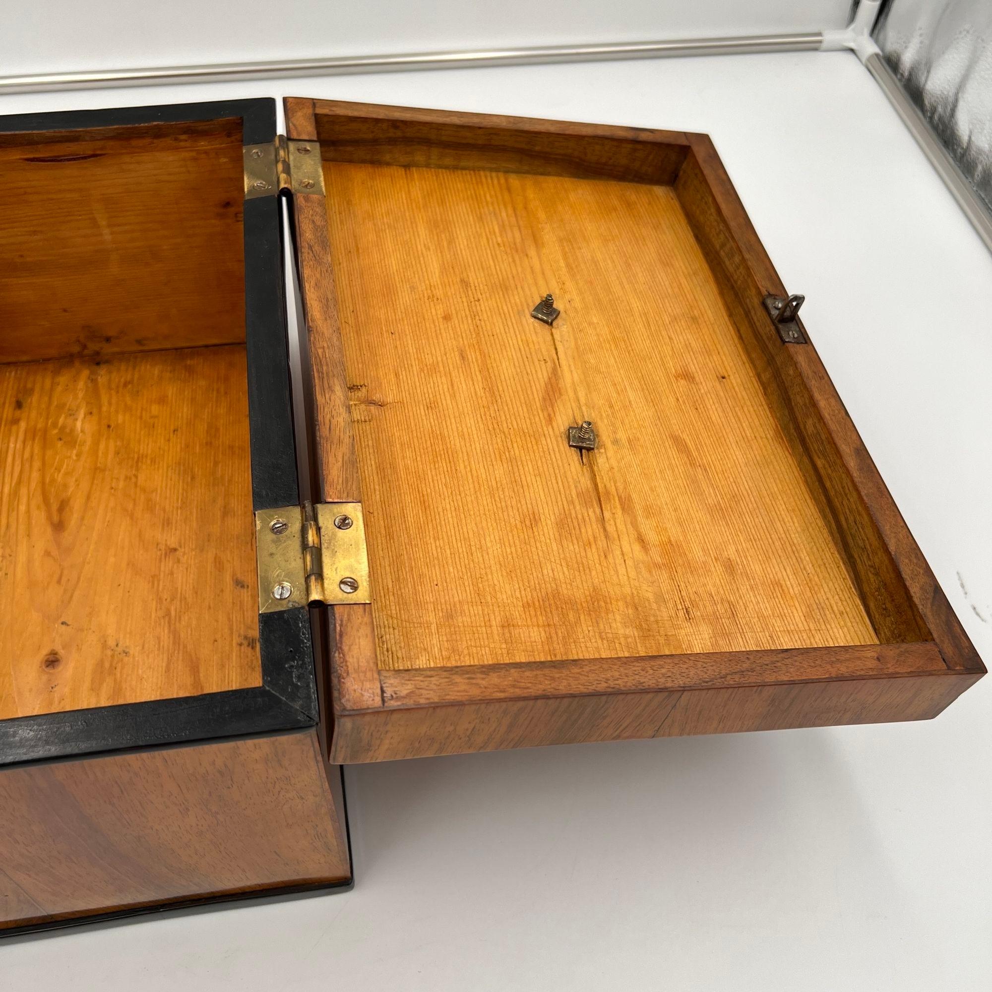 Large Biedermeier Box or Chest, Walnut Veneer, Brass, South Germany circa 1820 For Sale 12