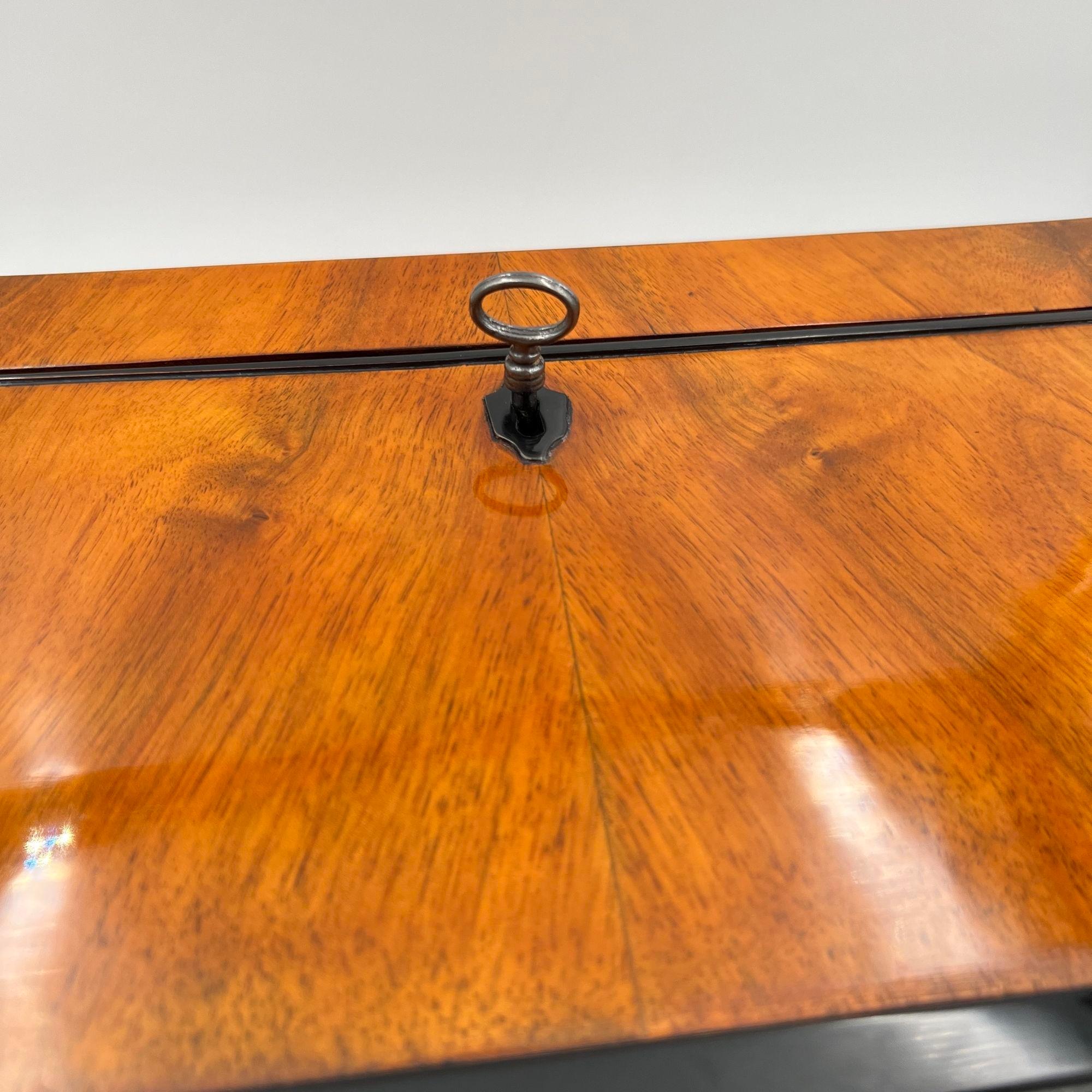 Large Biedermeier Box or Chest, Walnut Veneer, Brass, South Germany circa 1820 For Sale 15