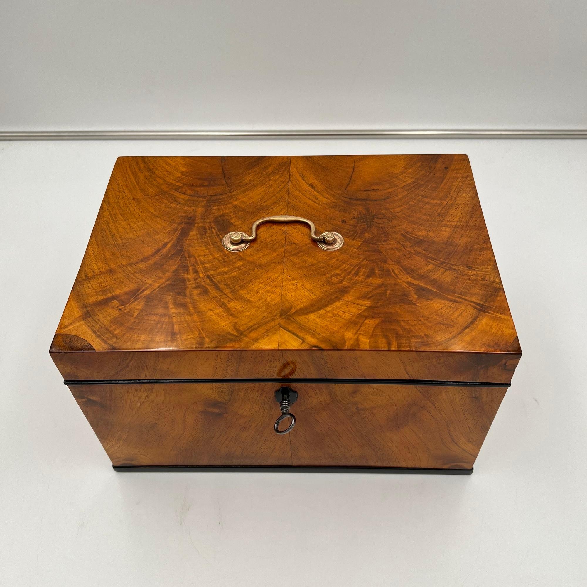 Ebonized Large Biedermeier Box or Chest, Walnut Veneer, Brass, South Germany circa 1820 For Sale