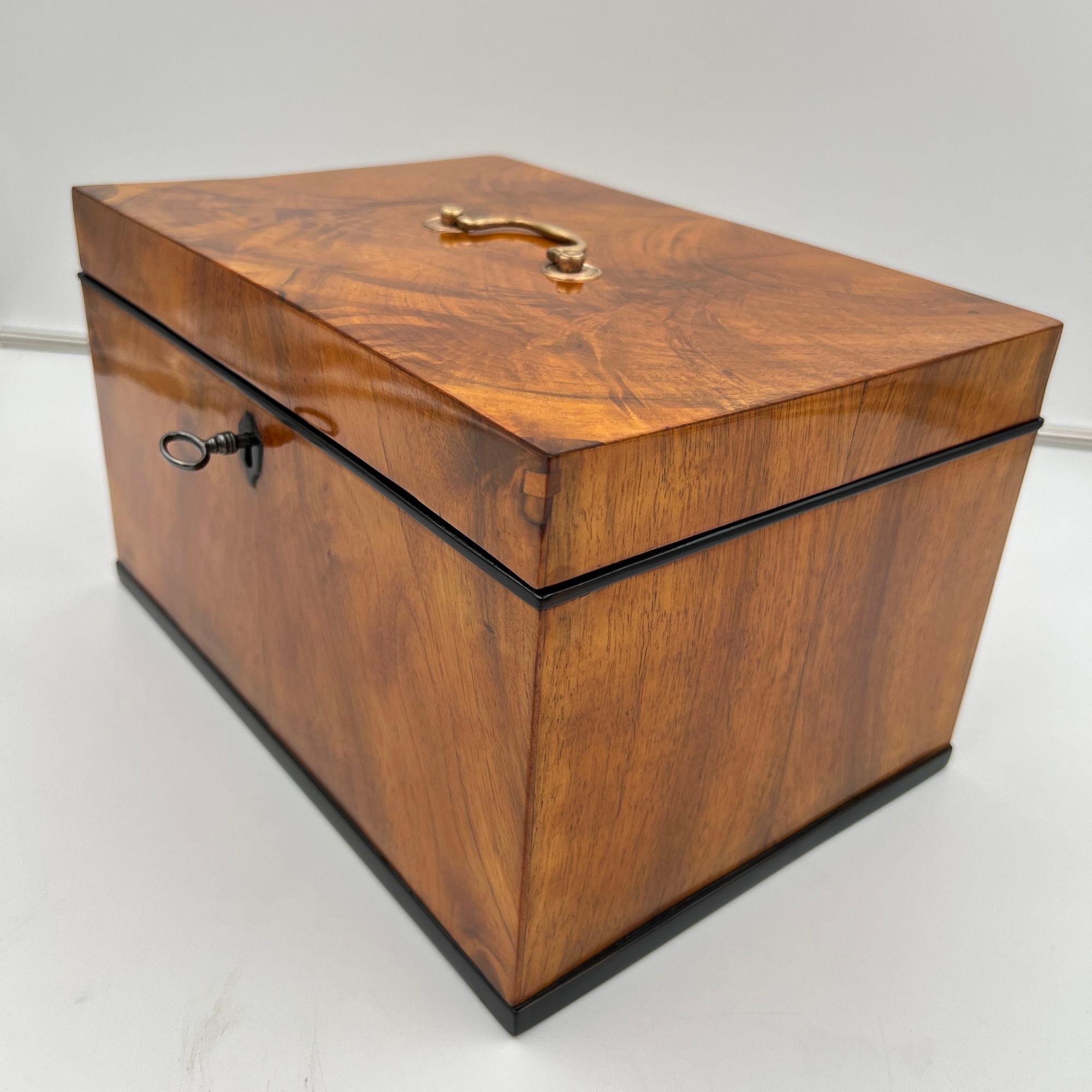 Large Biedermeier Box or Chest, Walnut Veneer, Brass, South Germany circa 1820 In Good Condition For Sale In Regensburg, DE