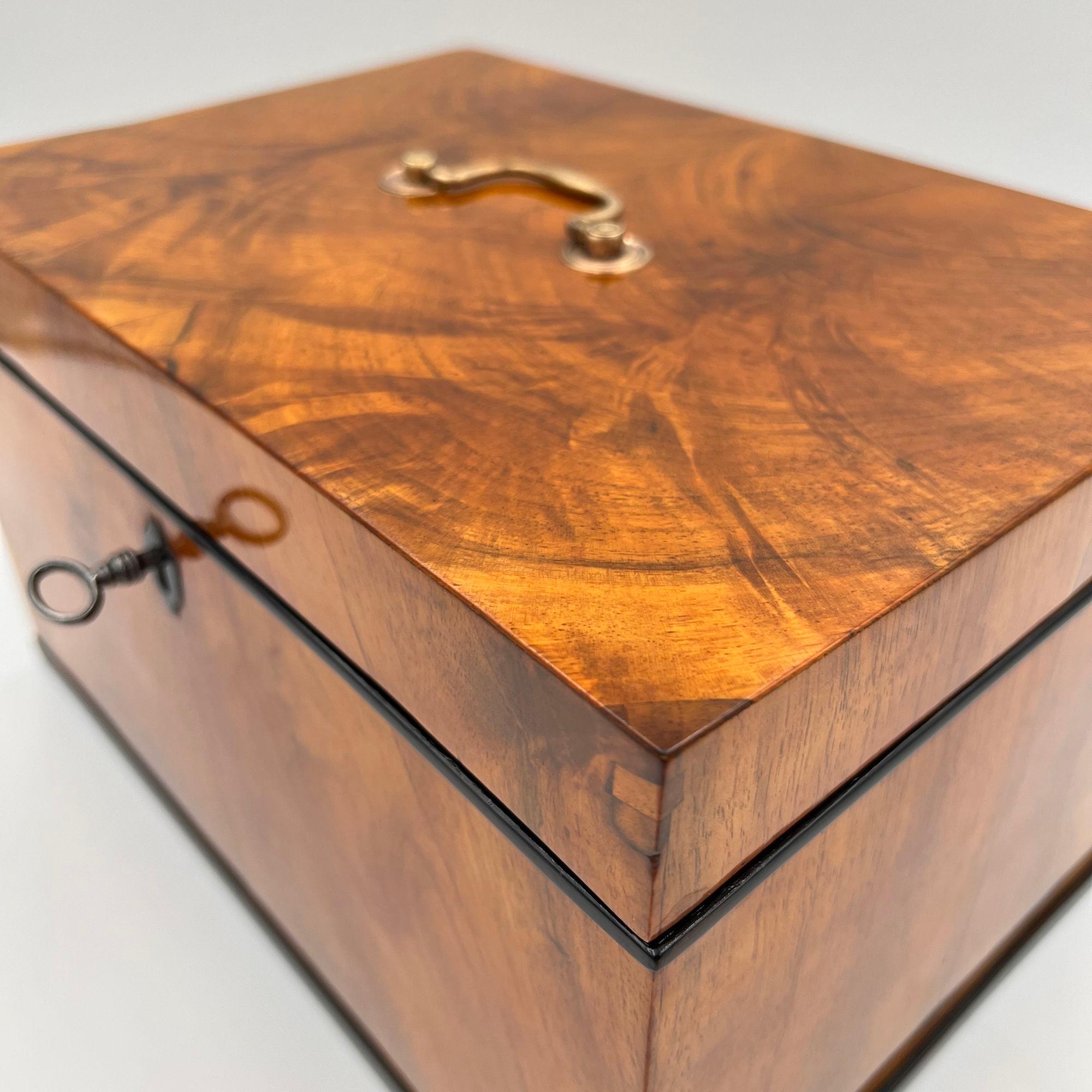 Early 19th Century Large Biedermeier Box or Chest, Walnut Veneer, Brass, South Germany circa 1820 For Sale