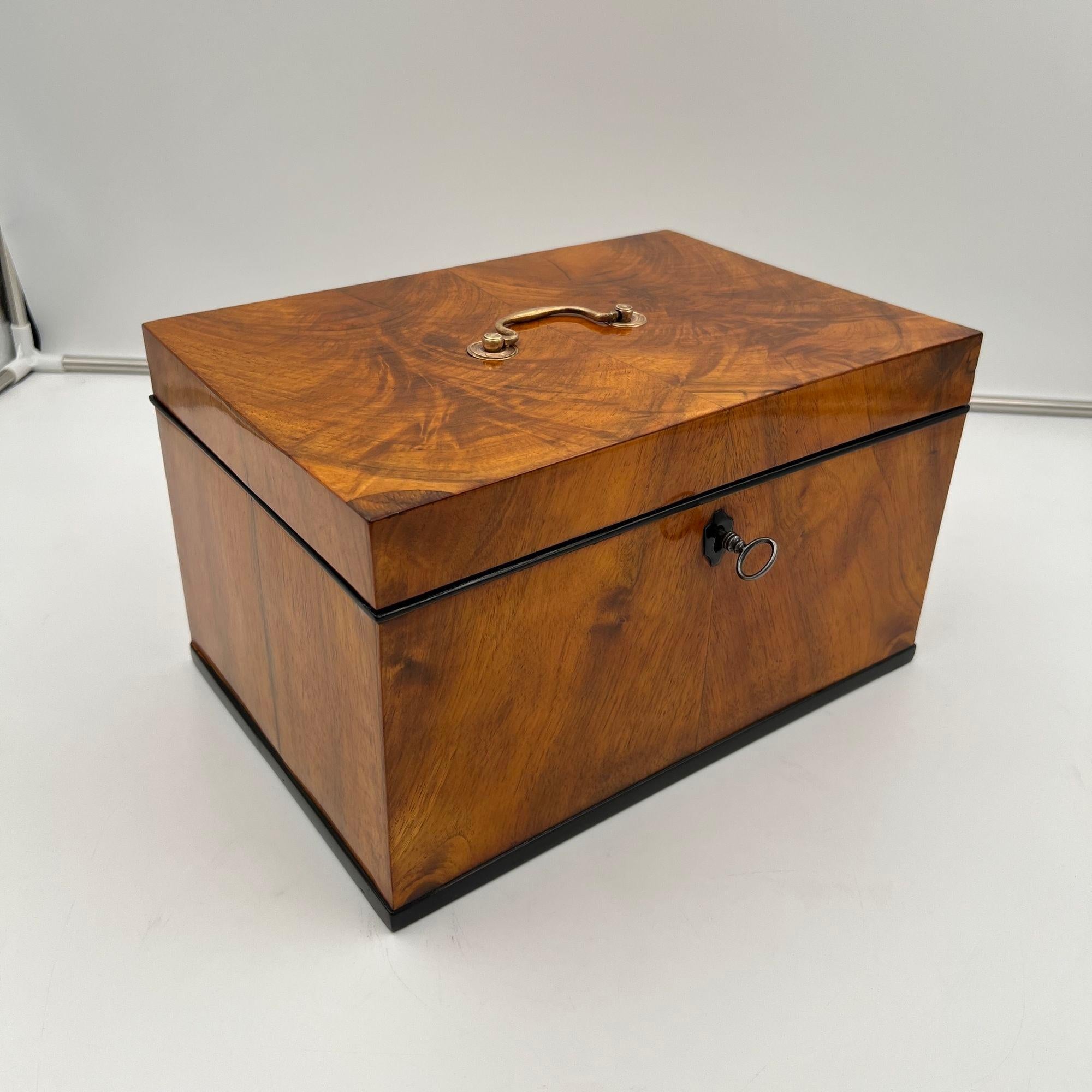 Large Biedermeier Box or Chest, Walnut Veneer, Brass, South Germany circa 1820 For Sale 1