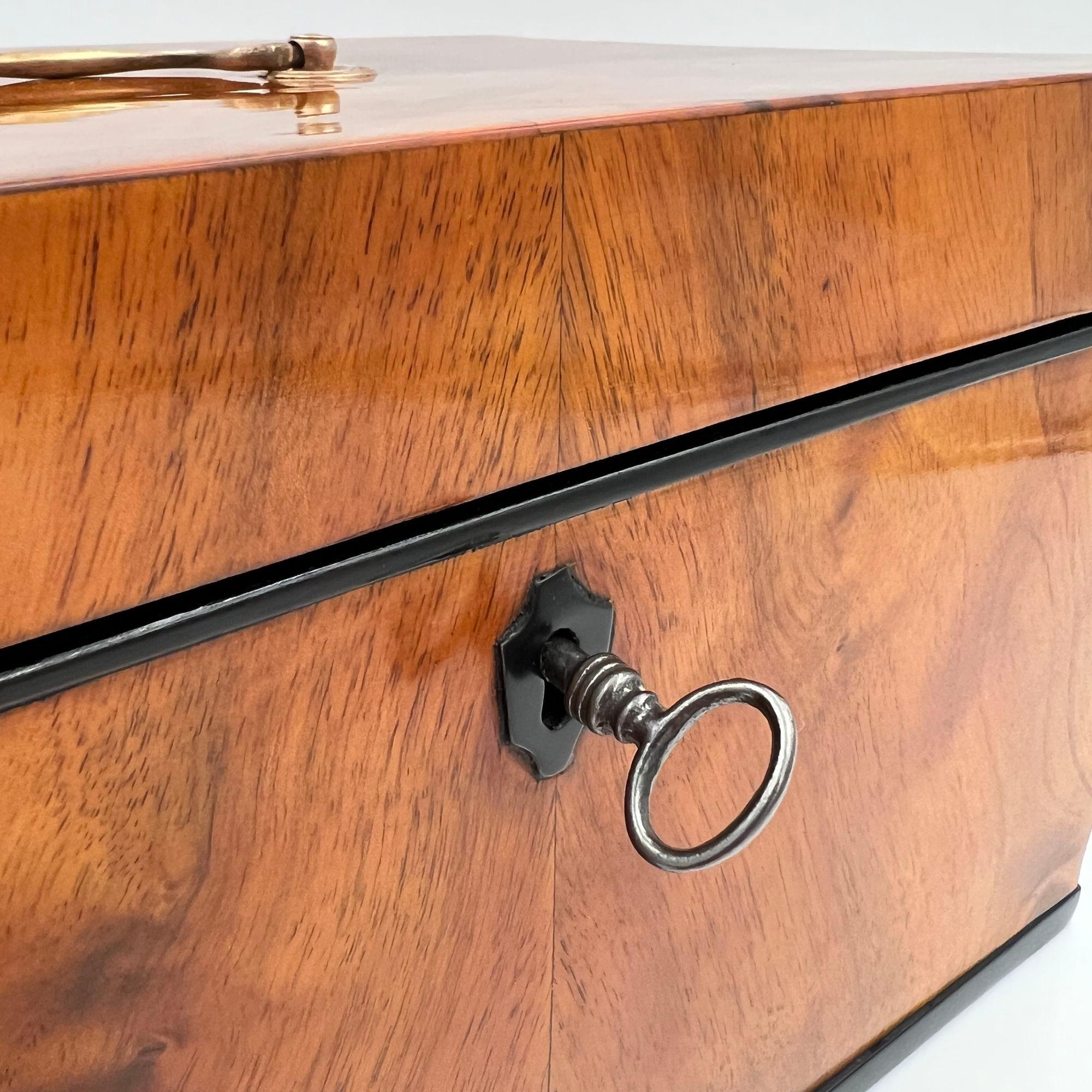 Large Biedermeier Box or Chest, Walnut Veneer, Brass, South Germany circa 1820 For Sale 2