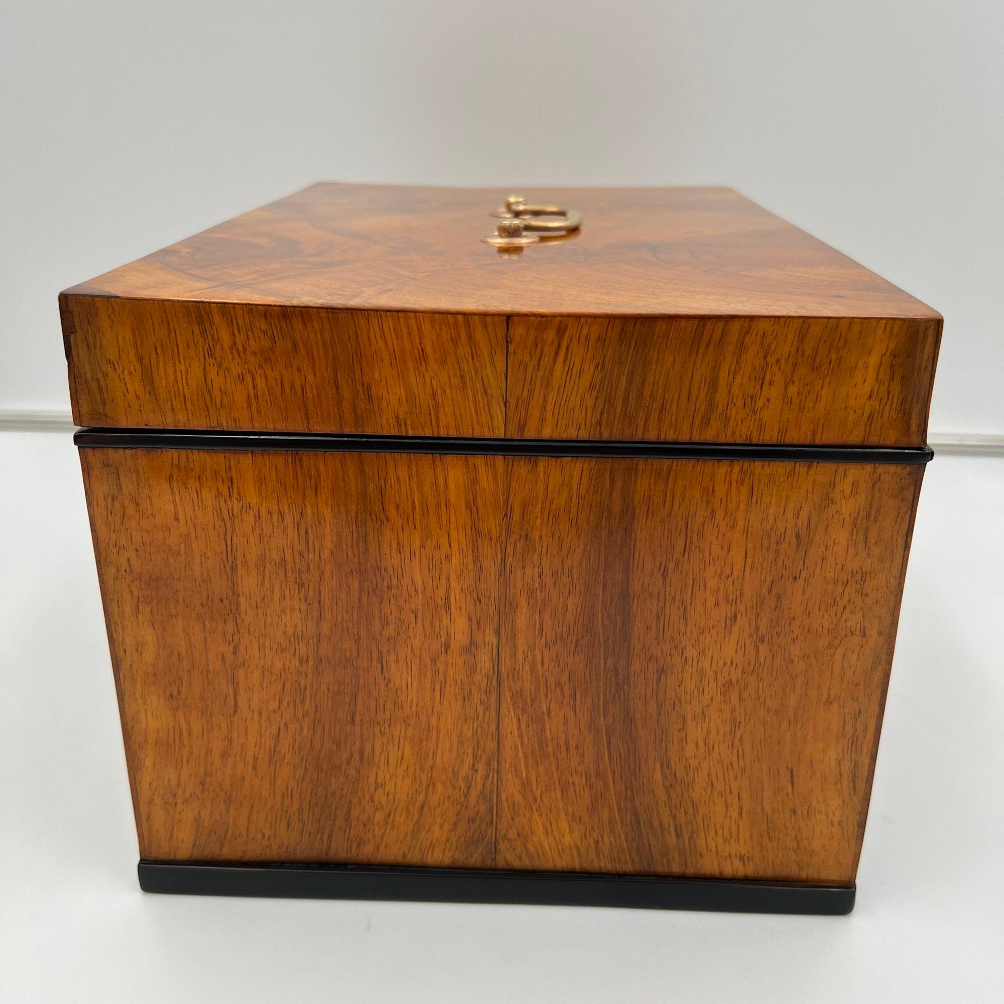 Large Biedermeier Box or Chest, Walnut Veneer, Brass, South Germany circa 1820 For Sale 4
