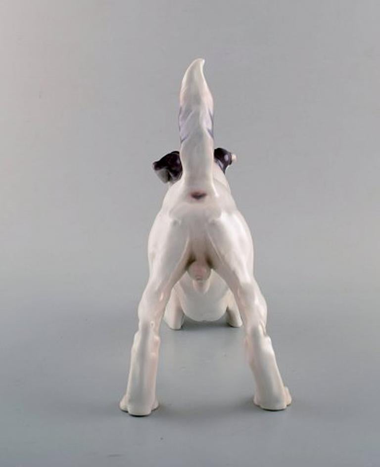 Danish Large Bing & Grondahl / B & G Porcelain Figurine, Smooth Haired Fox Terrier
