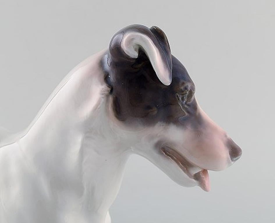 Large Bing & Grondahl / B & G Porcelain Figurine, Smooth Haired Fox Terrier In Good Condition In København, Copenhagen