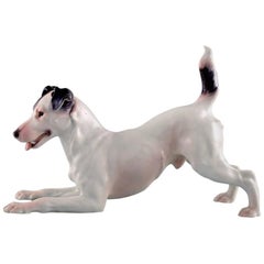 Large Bing & Grondahl / B & G Porcelain Figurine, Smooth Haired Fox Terrier
